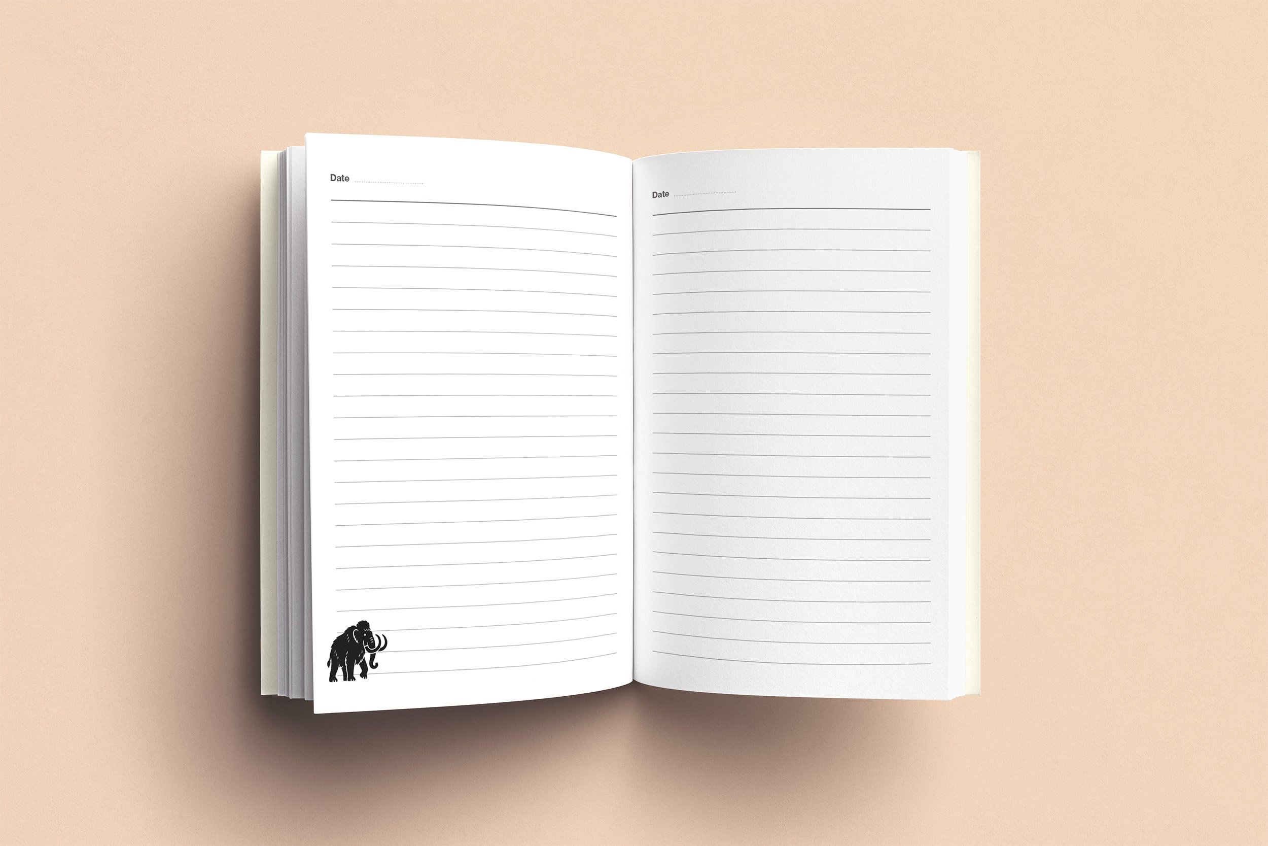 ICE_AGE_notebook_inside_pages2 copy.jpg