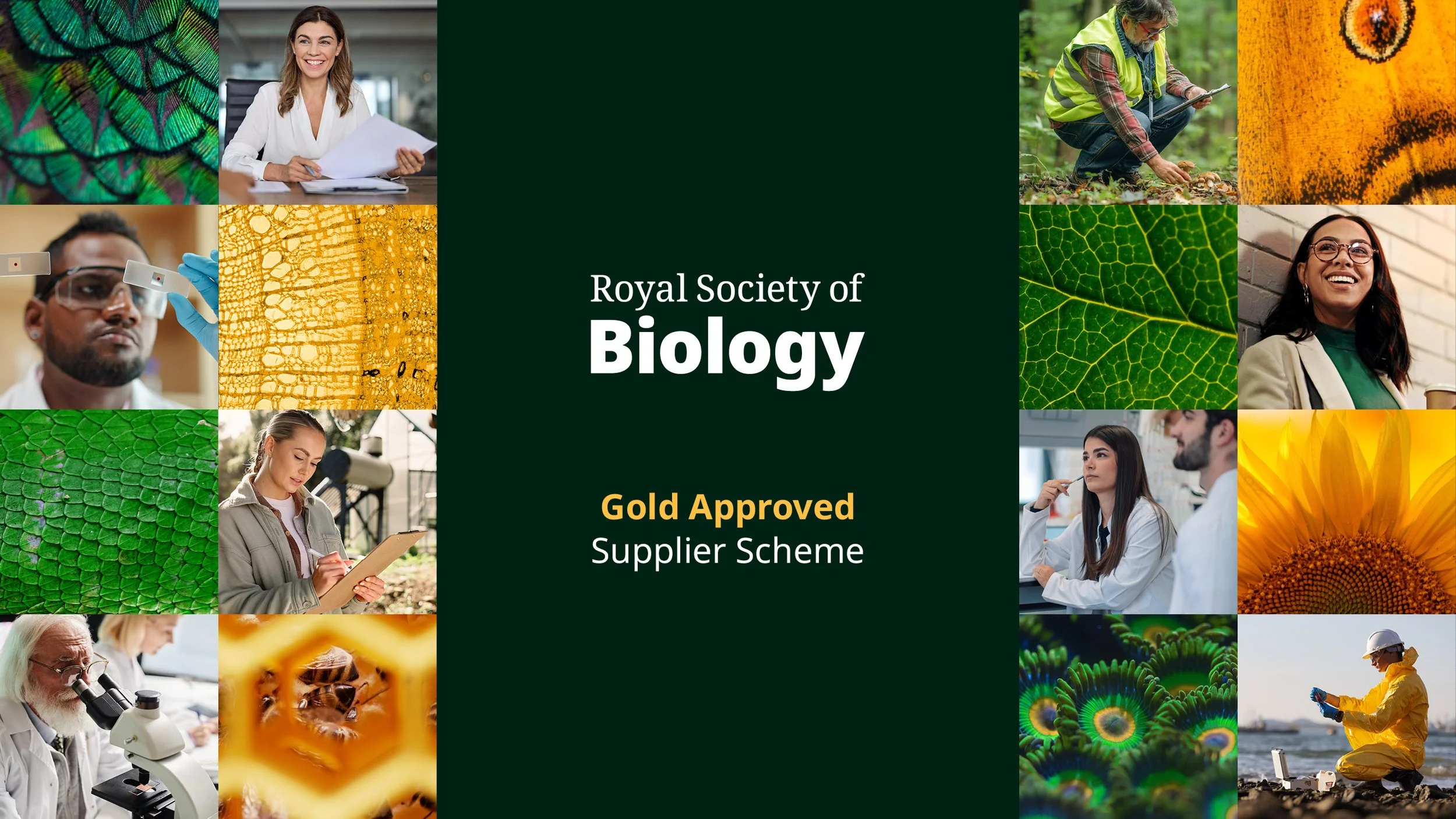 RSB_gold_approved_supplier_scheme_brochure_V4.jpg
