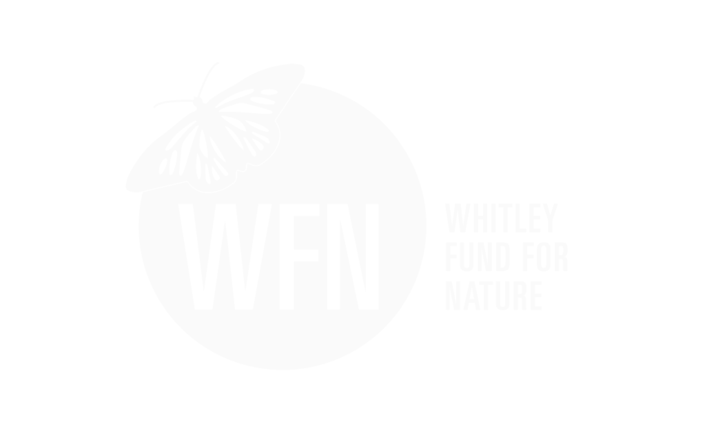 WFN.png