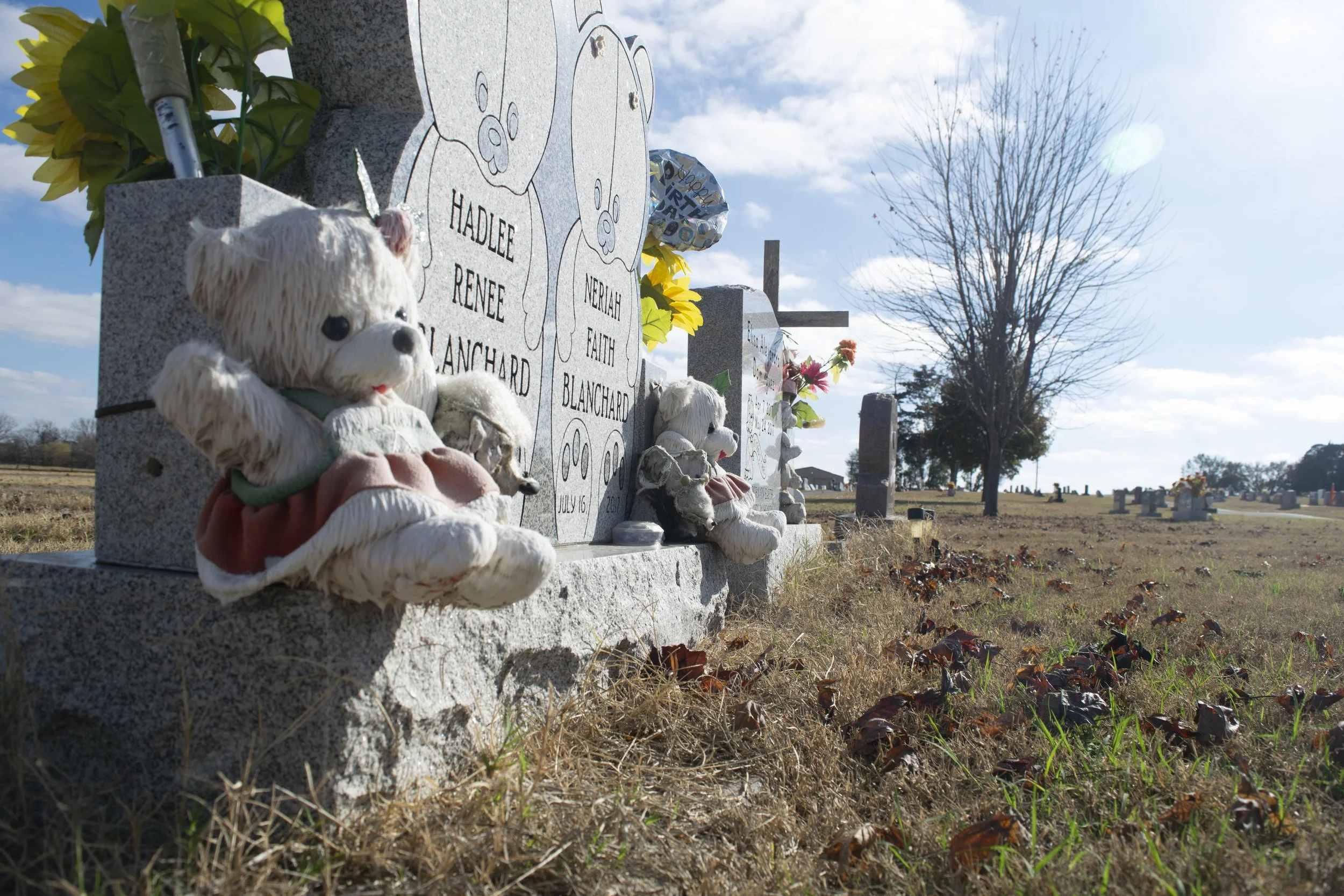 where the bears keep watch