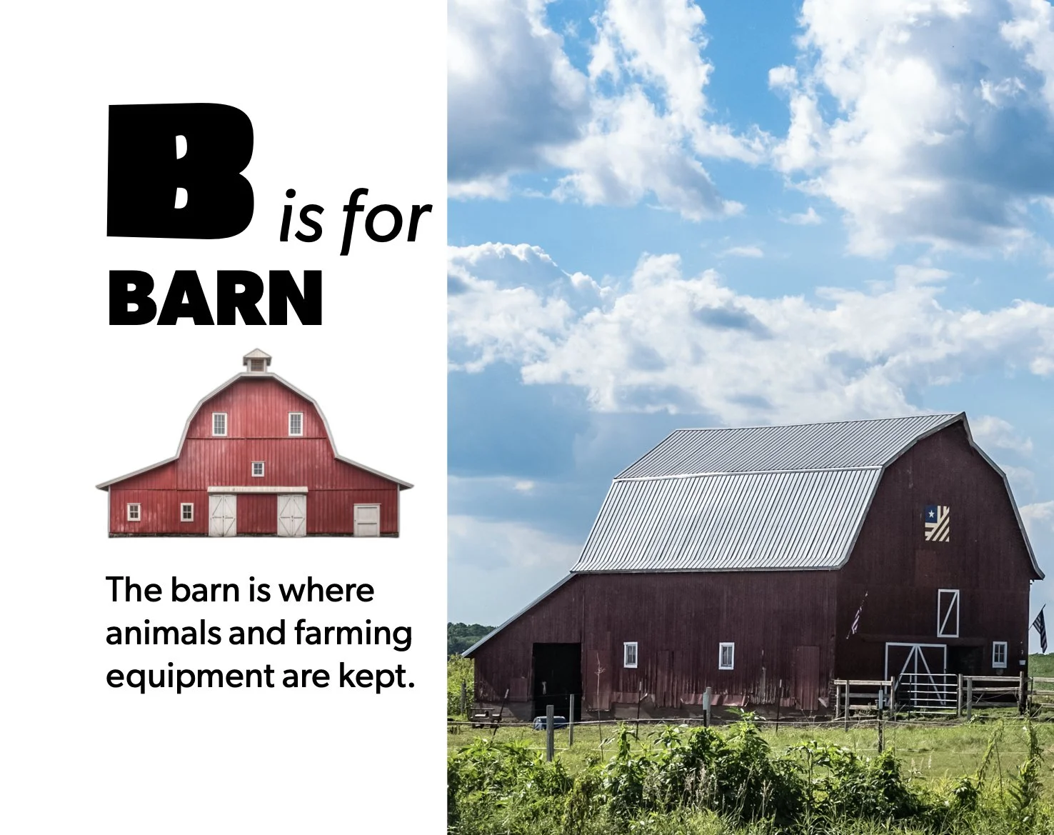 ‎On The Farm A to Z(2).‎1.jpeg