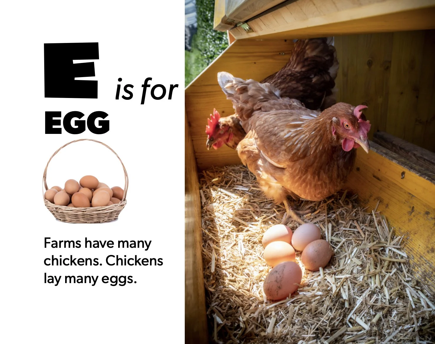 ‎On The Farm A to Z(2)-pic.‎1.jpeg