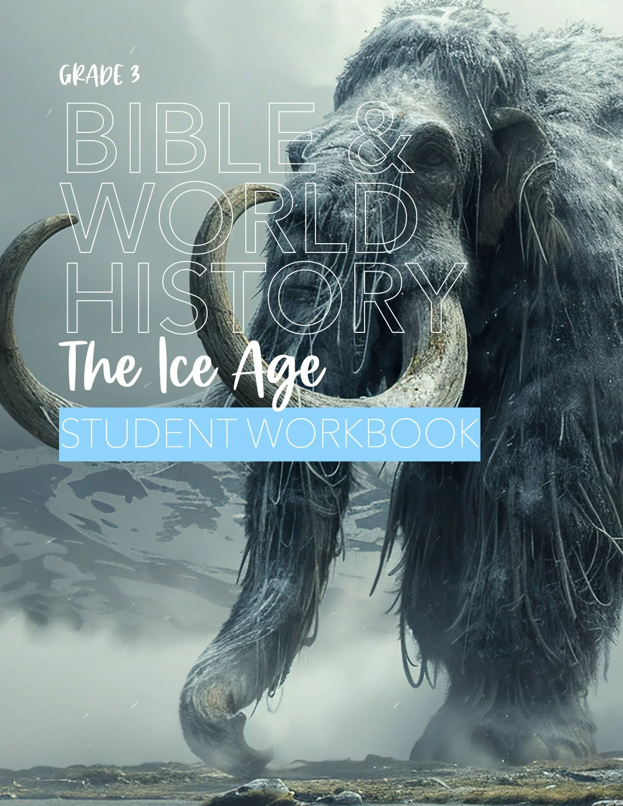 ‎Ice Age Student Workbook.‎1.jpeg