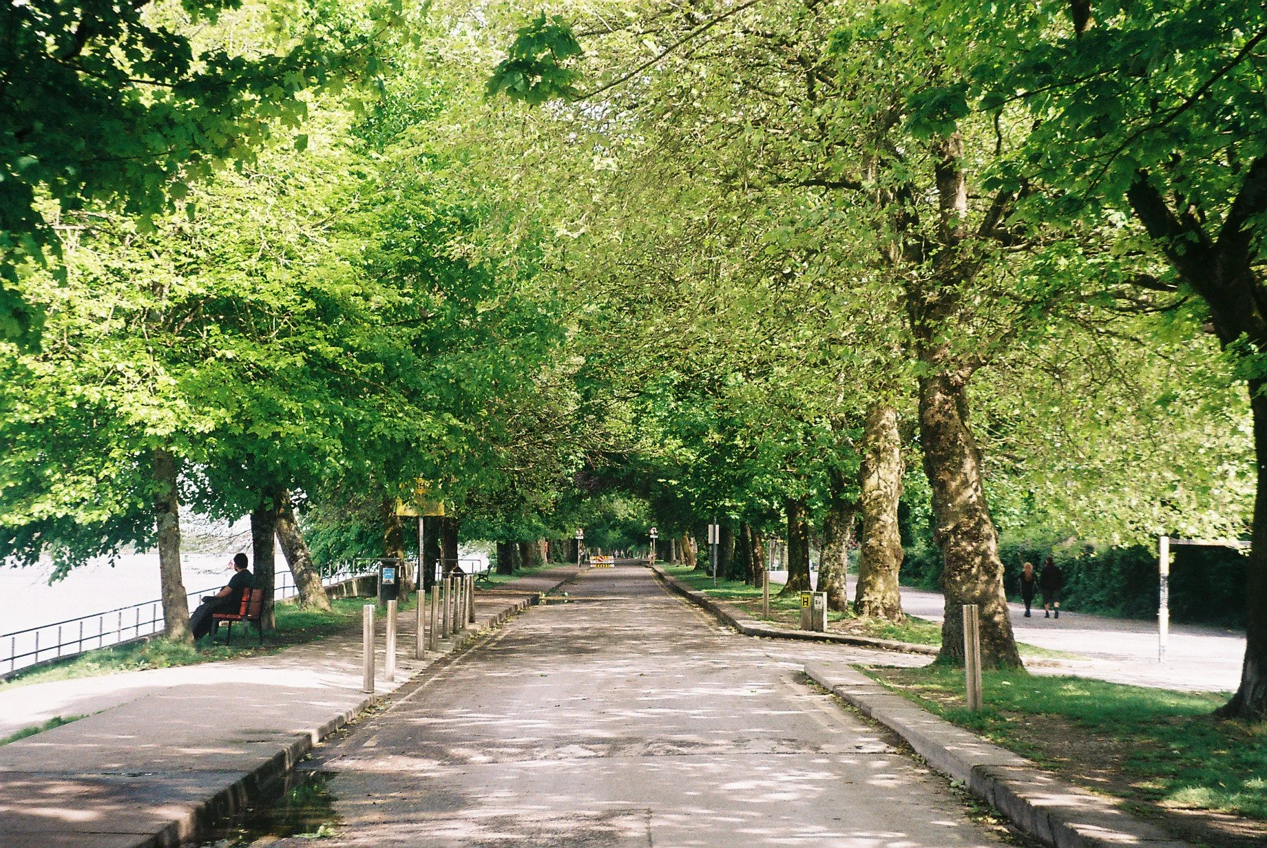 A peaceful pathway in a green park, shaded by large trees on both sides, with a person sitting on a bench and two people walking in the distance.
