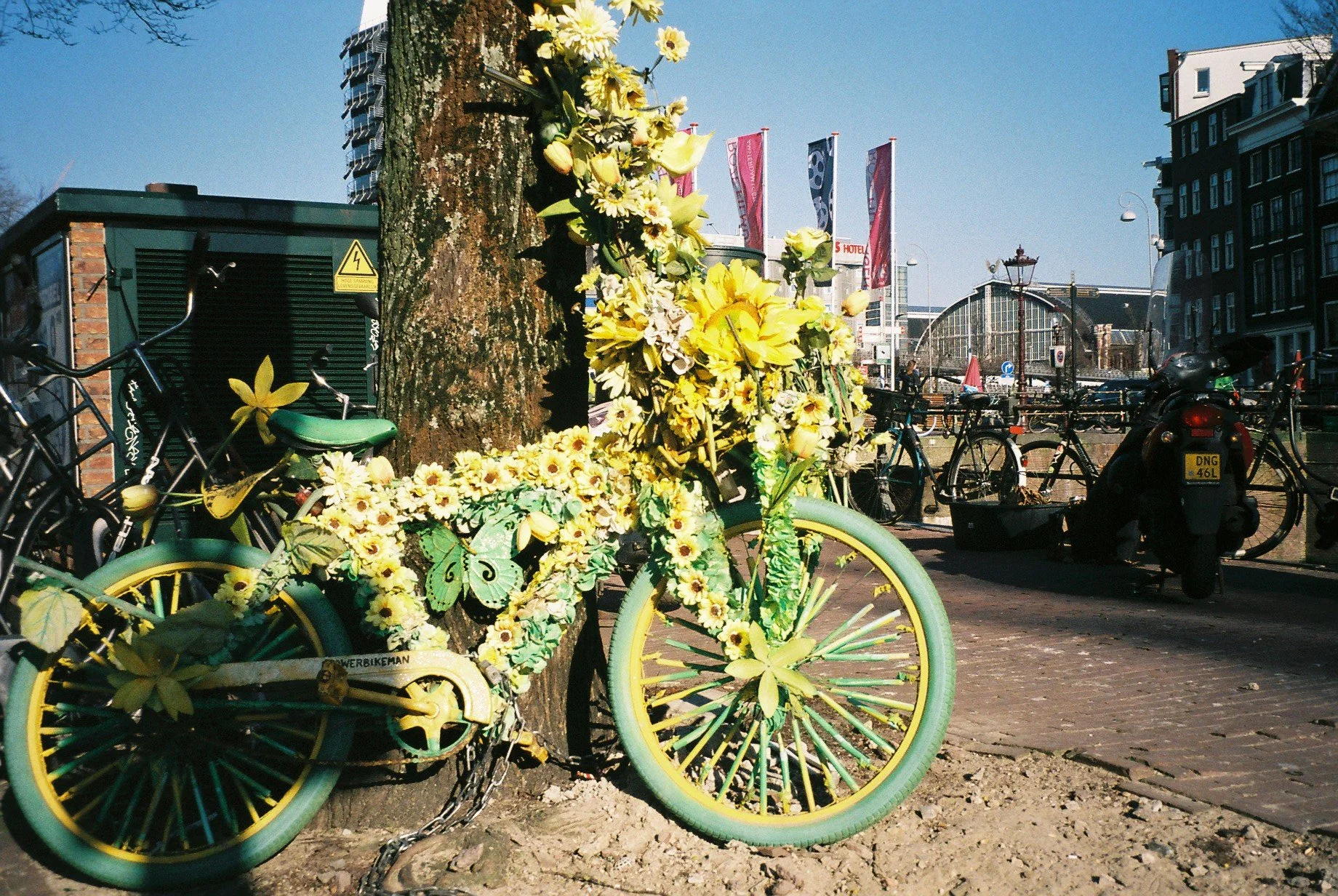 Decorative bicycle painted in yellow and green, leaning against a tree, adorned with yellow flowers and a butterfly decoration, in an urban setting with bicycles, buildings, and flags in the background.