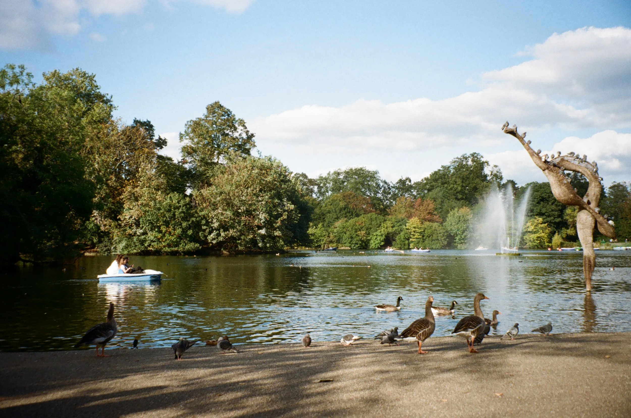 A lake scene with birds on the shore, a person on a paddle boat, a fountain, and a sculpture of a giraffe in the background.