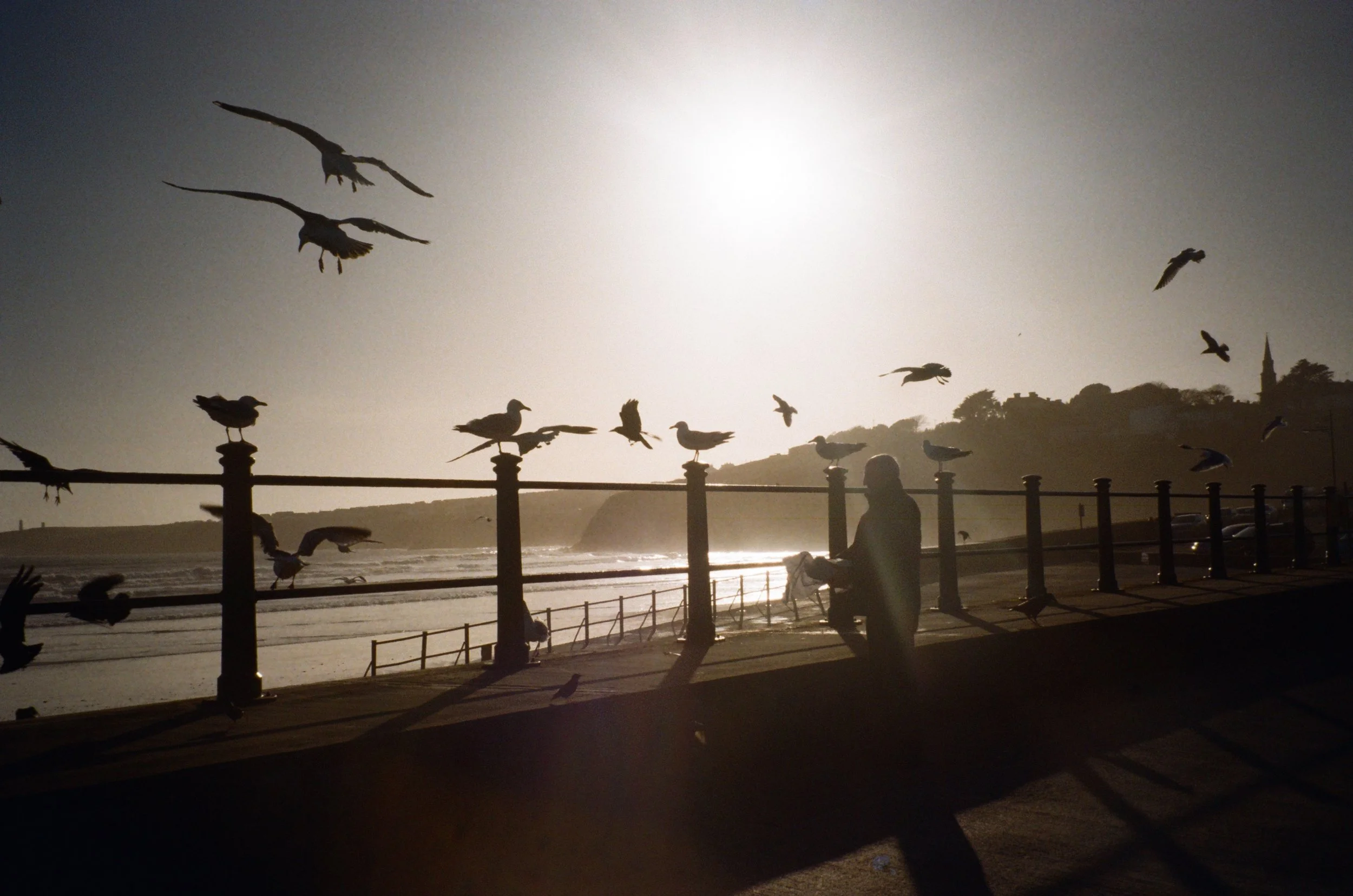 Silhouette of a person sitting by a seaside promenade with seagulls flying overhead and a hilly landscape in the background during sunset or sunrise.