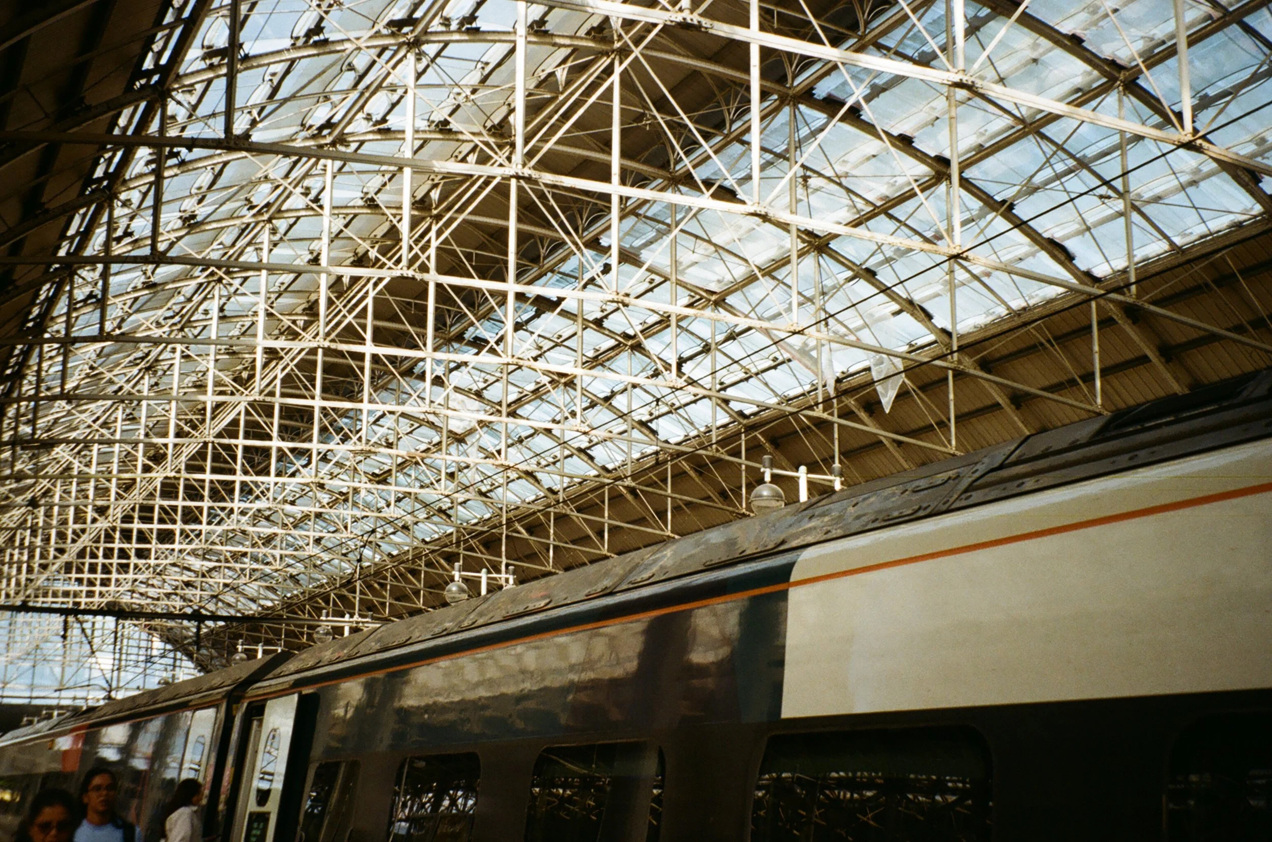 A train inside a large station with an arched glass and metal roof framework.