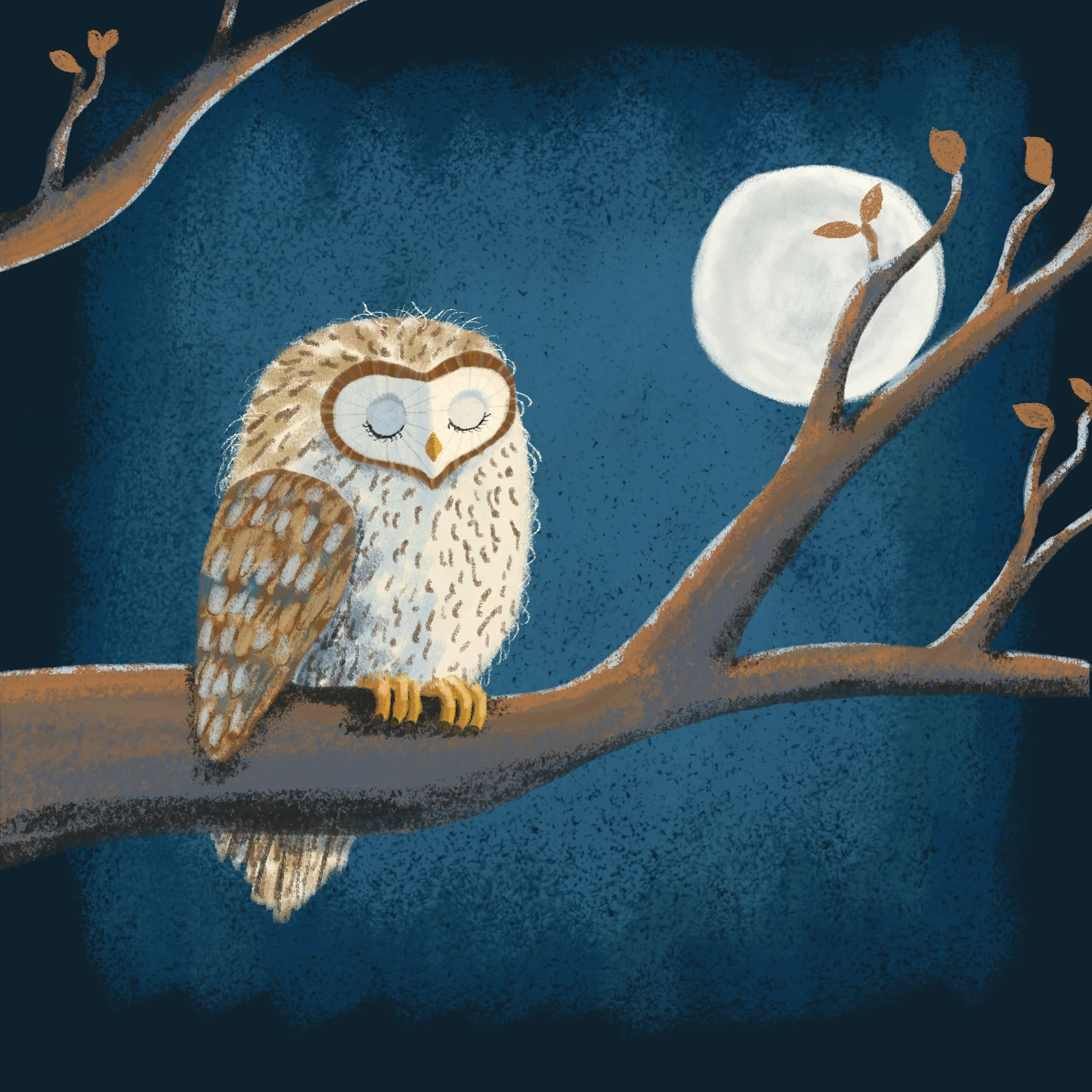 Illustration of an owl in a tree