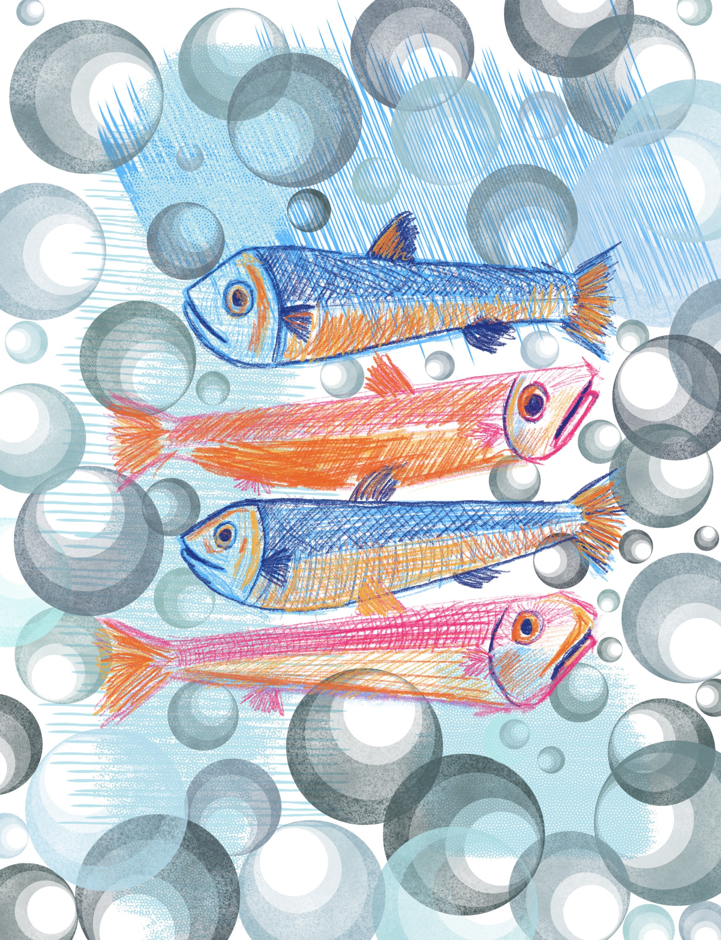 Abstract illustration of fish and bubbles