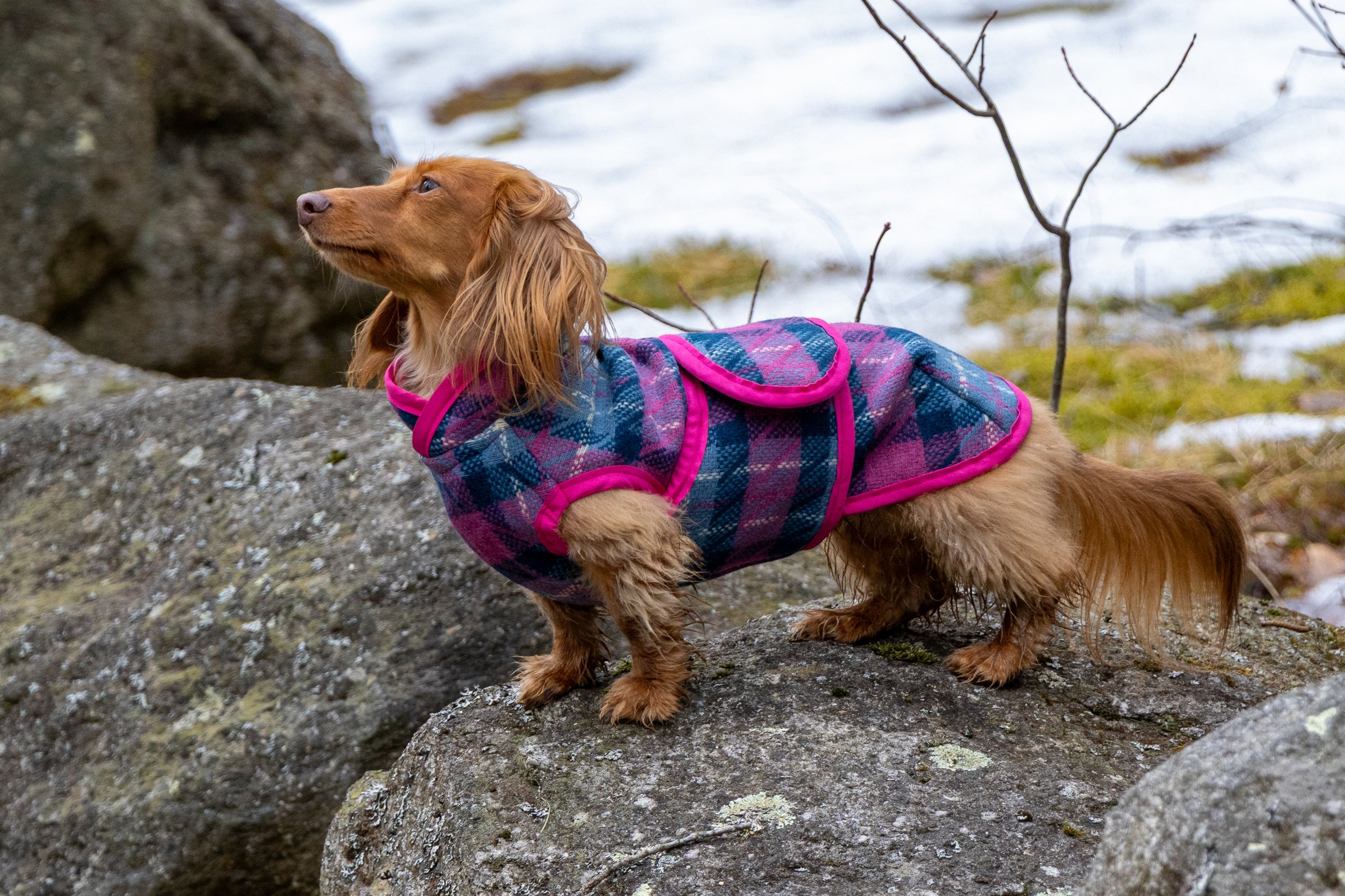 Midweight Pink & Blue Plaid Coat
