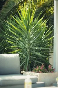 af803f9a-0581-4b15-86bf-c27c5de177a3 (1).jpg