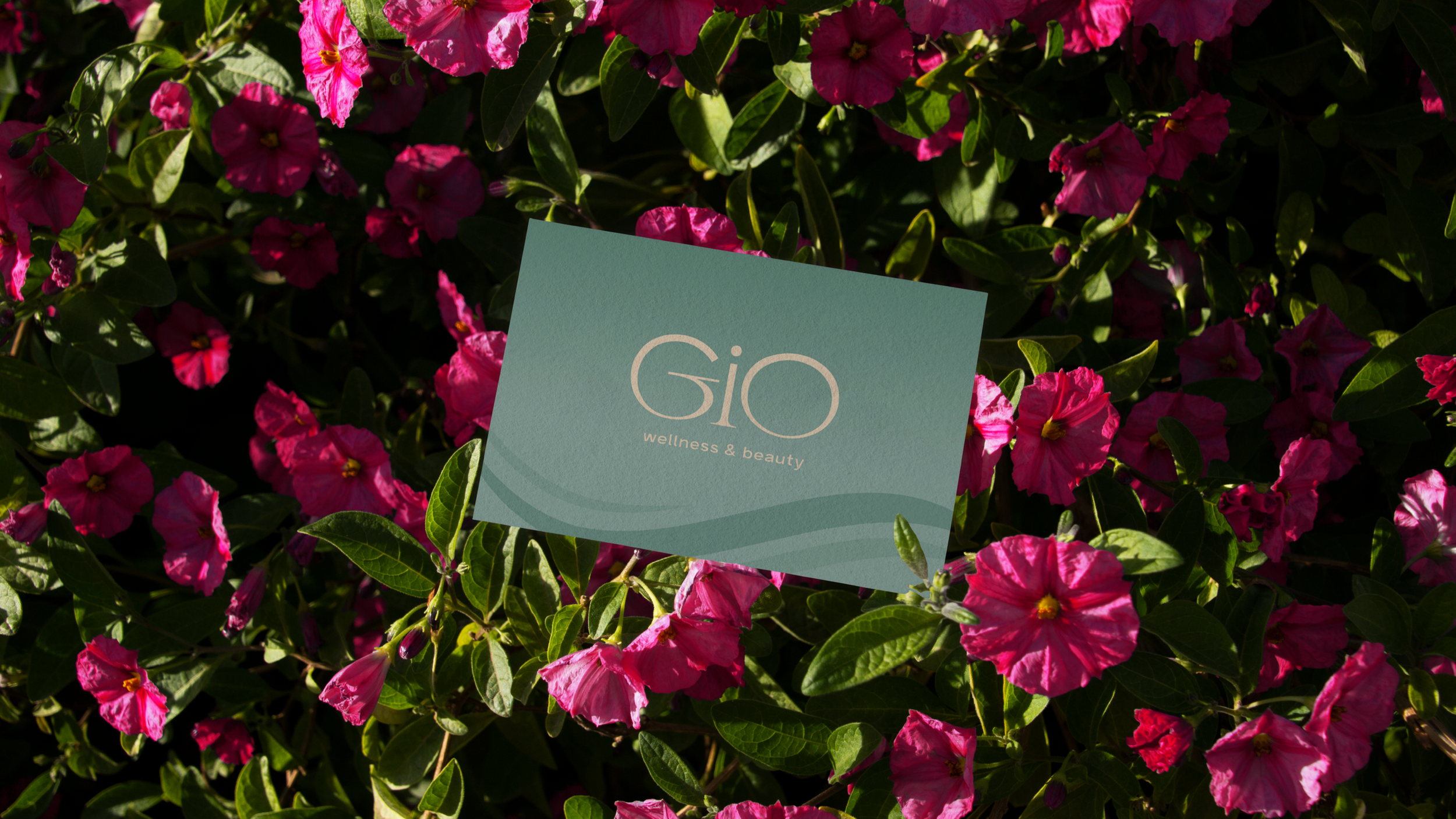 GIO | Brand
