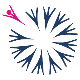 Afazik Impulse logo. Illustration of a firework display with pink and blue bursts.