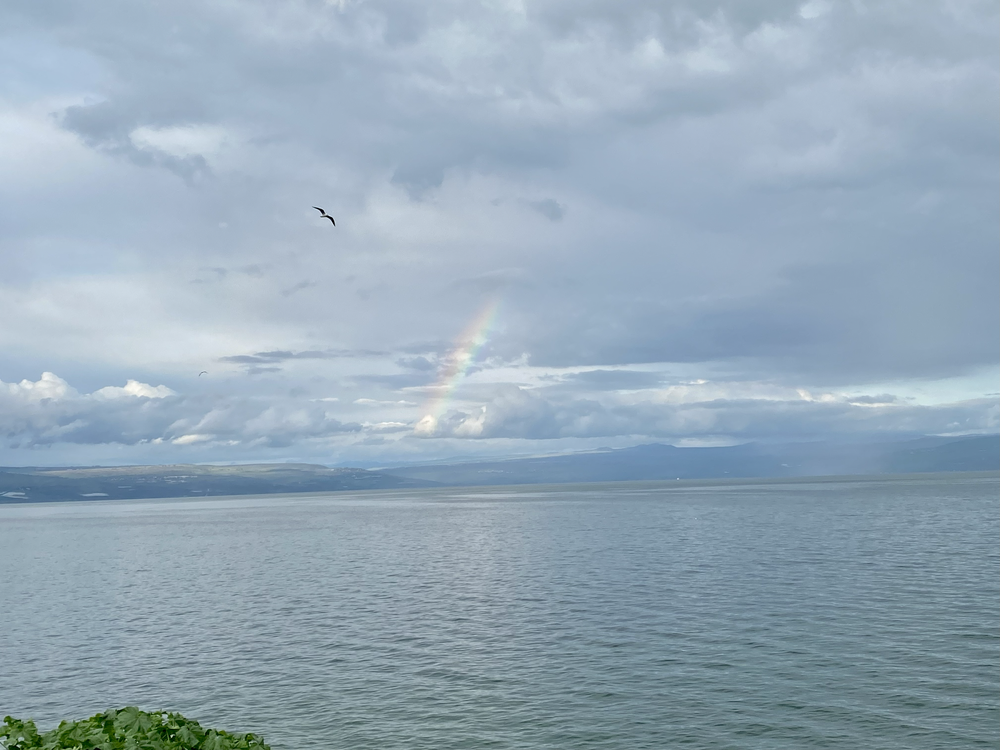 Harp by the Sea of Galilee beneath a rainbow.