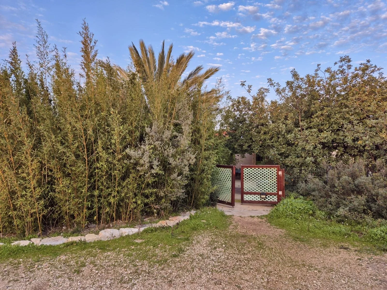 WhatsApp Image 2026-01-07 at 18.48.48.jpeg