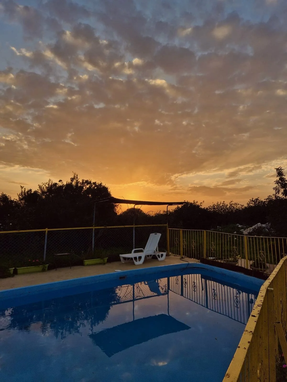 WhatsApp Image 2026-01-07 at 18.48.49.jpeg