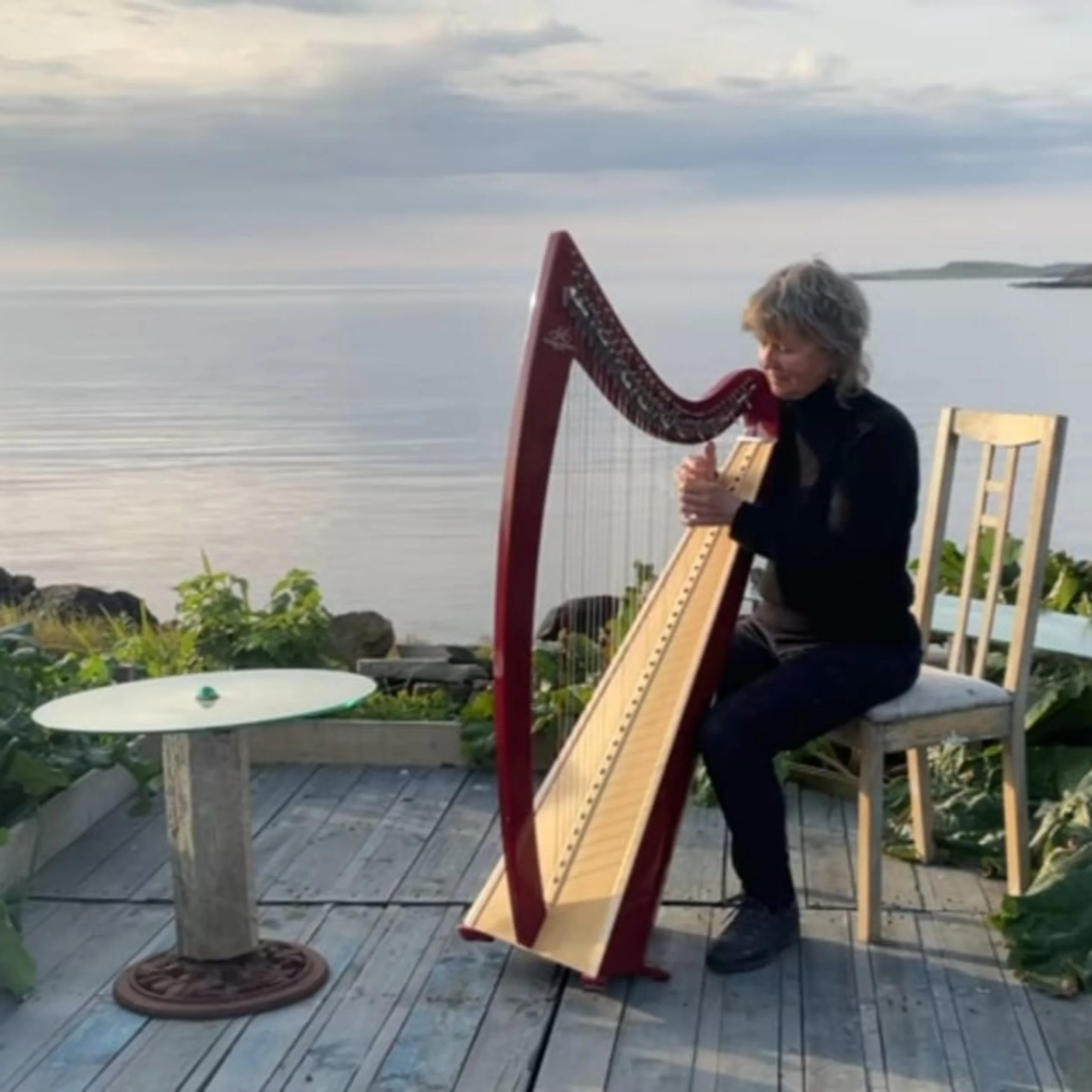 Sunita Staneslow’s Harp Story
