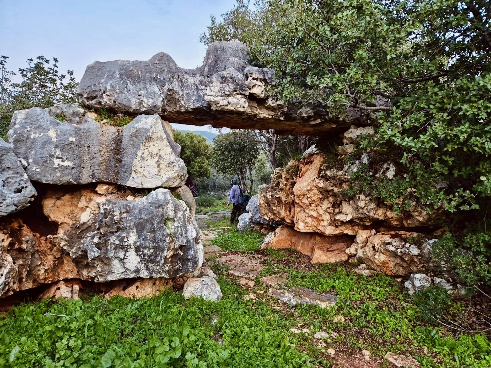 WhatsApp Image 2026-01-07 at 18.48.52 (1).jpeg