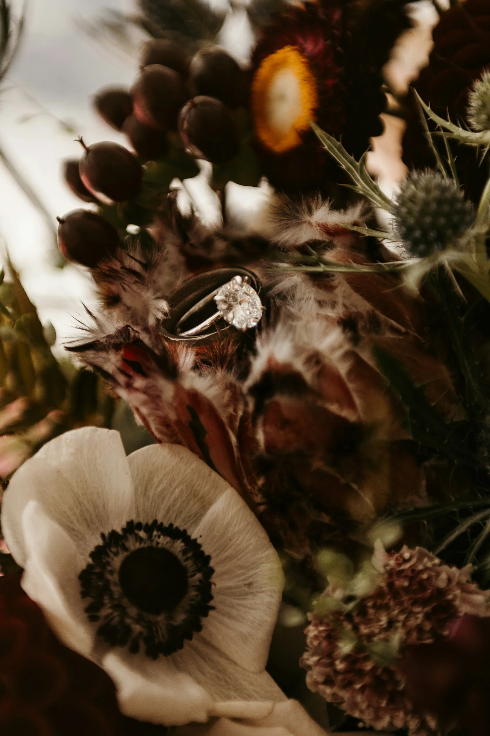 unsplash-image-tqxk1jWSLMI.jpg