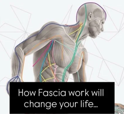 Fascia&rsquo;s popularity is exploding, Fascial Maneuvers especially. Don&rsquo;t let its simplicity fool you, this stuff is revolutionary. The body-mind connection has never been believed so widely. It is time you gave it a try? Reach out. 

#transf