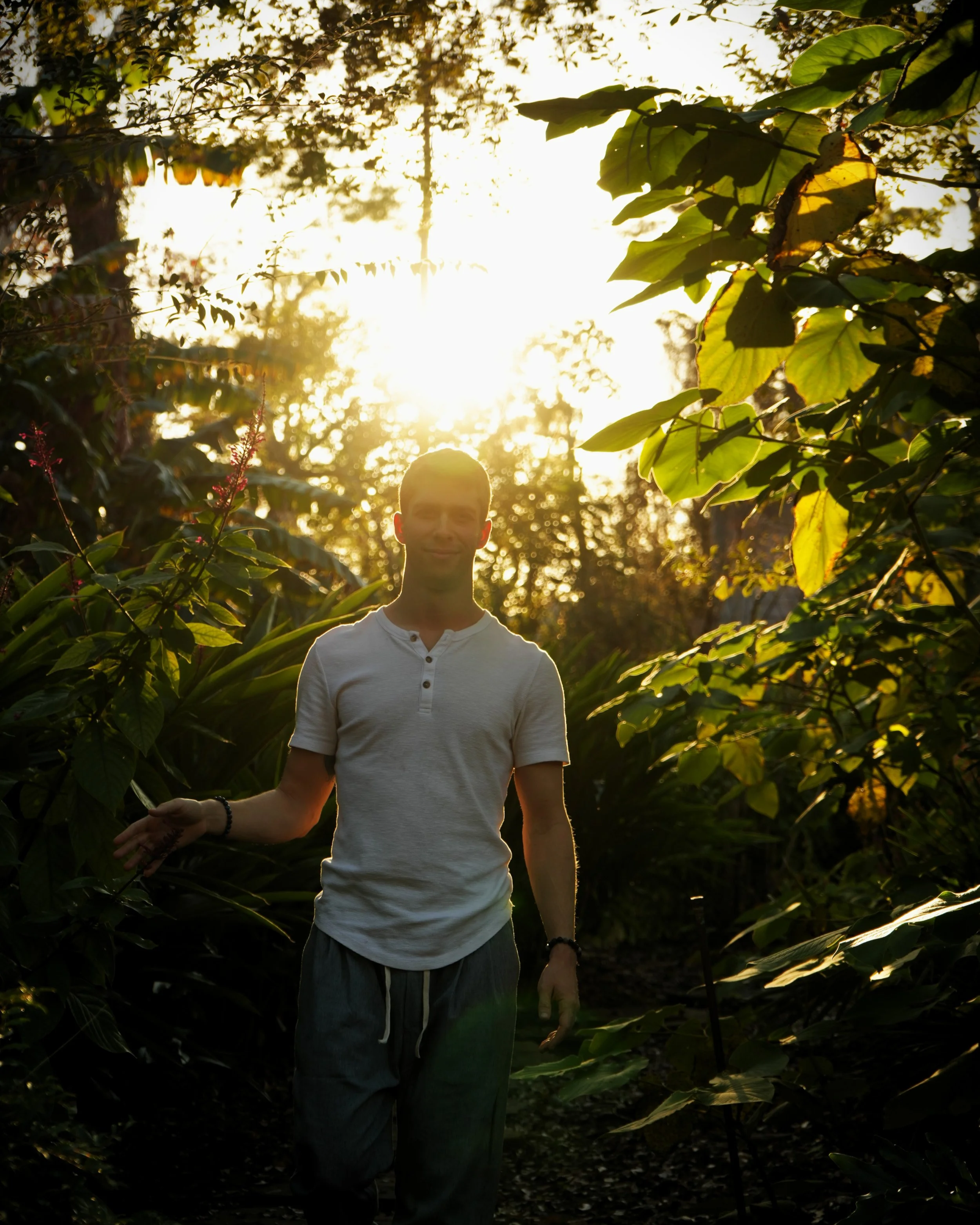 Person standing with arms outstretched in a lush forest, backlit by warm sunlight