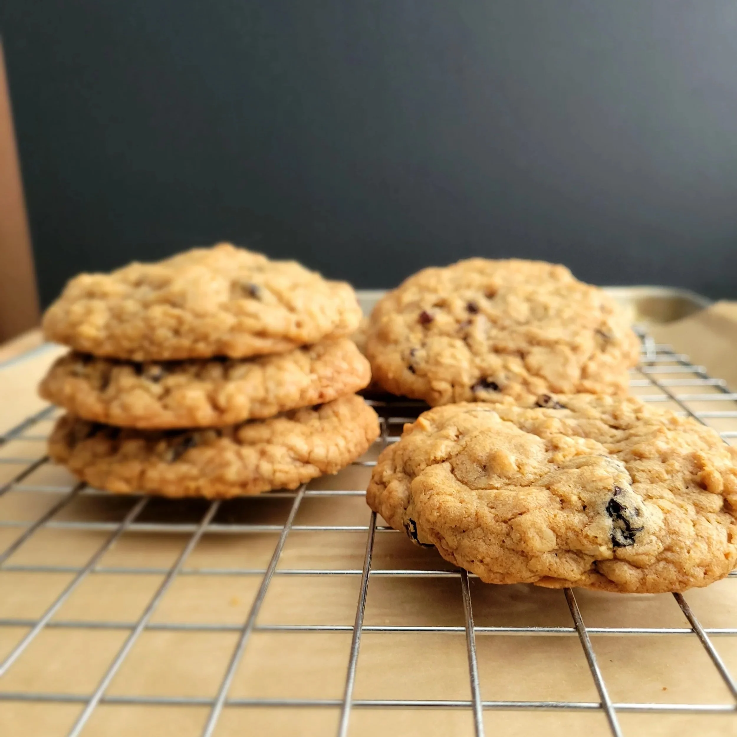 Oatmeal RAISIN cookie