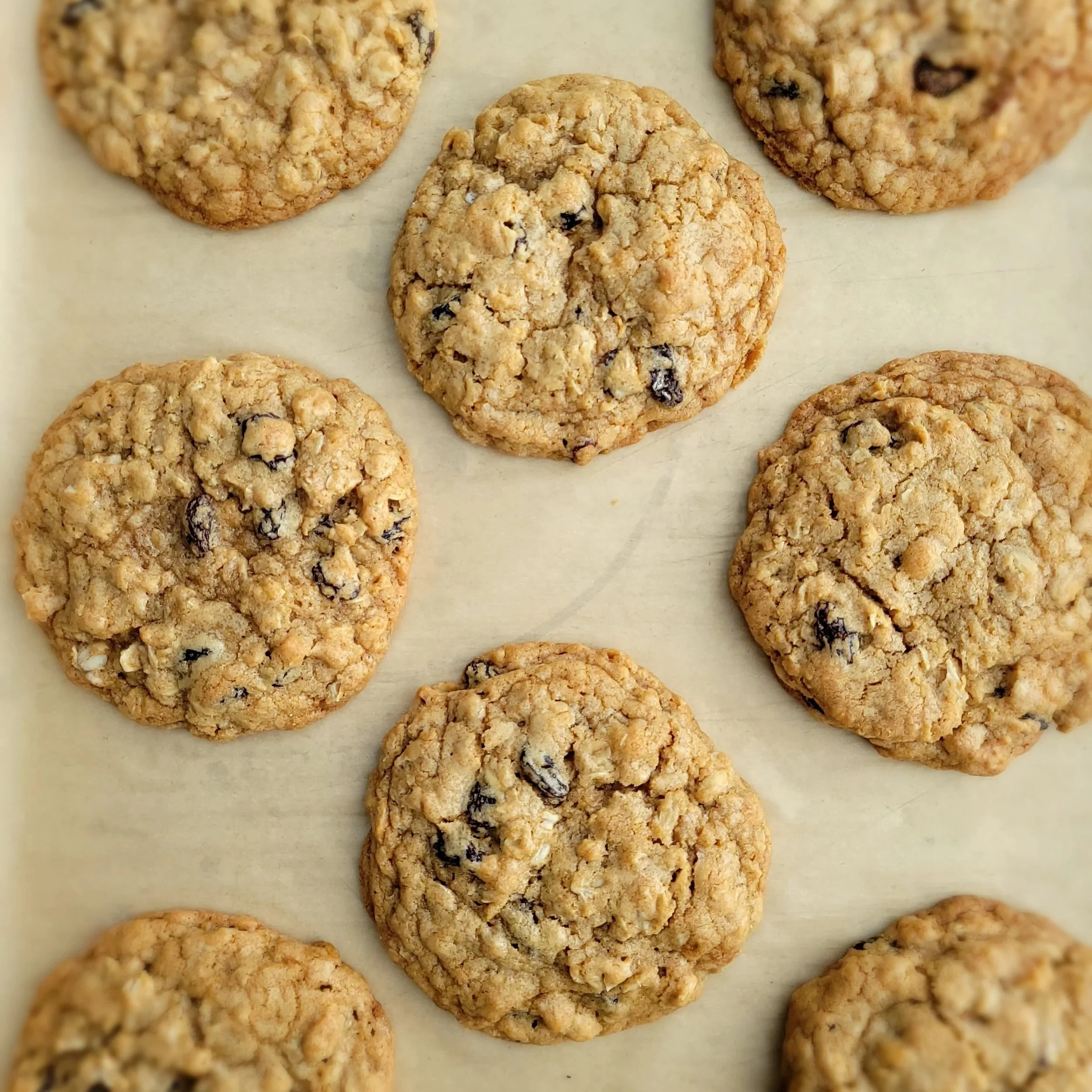 Oatmeal Raisin cookie