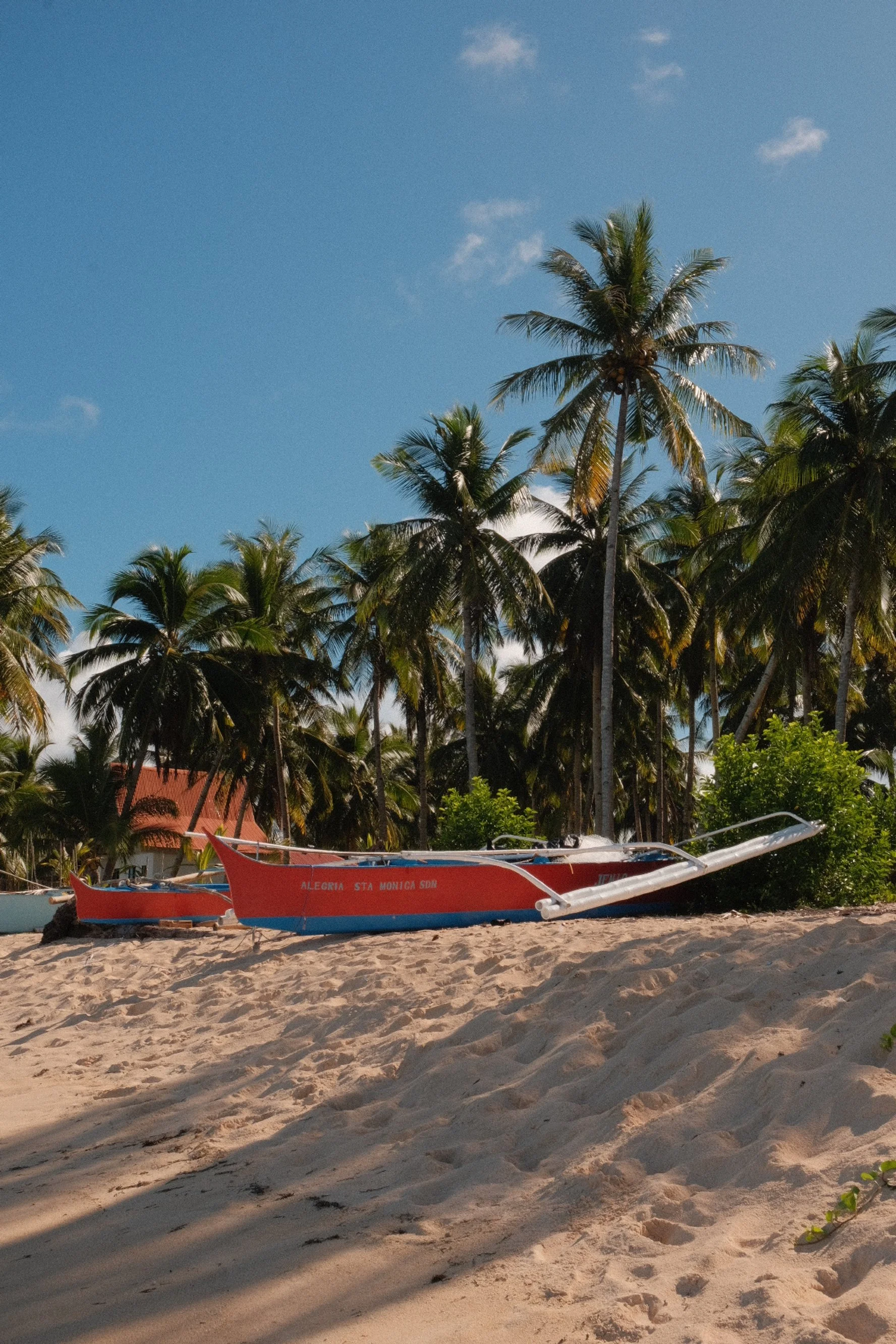 Photo 15-10-2025, 06 39 21.jpg