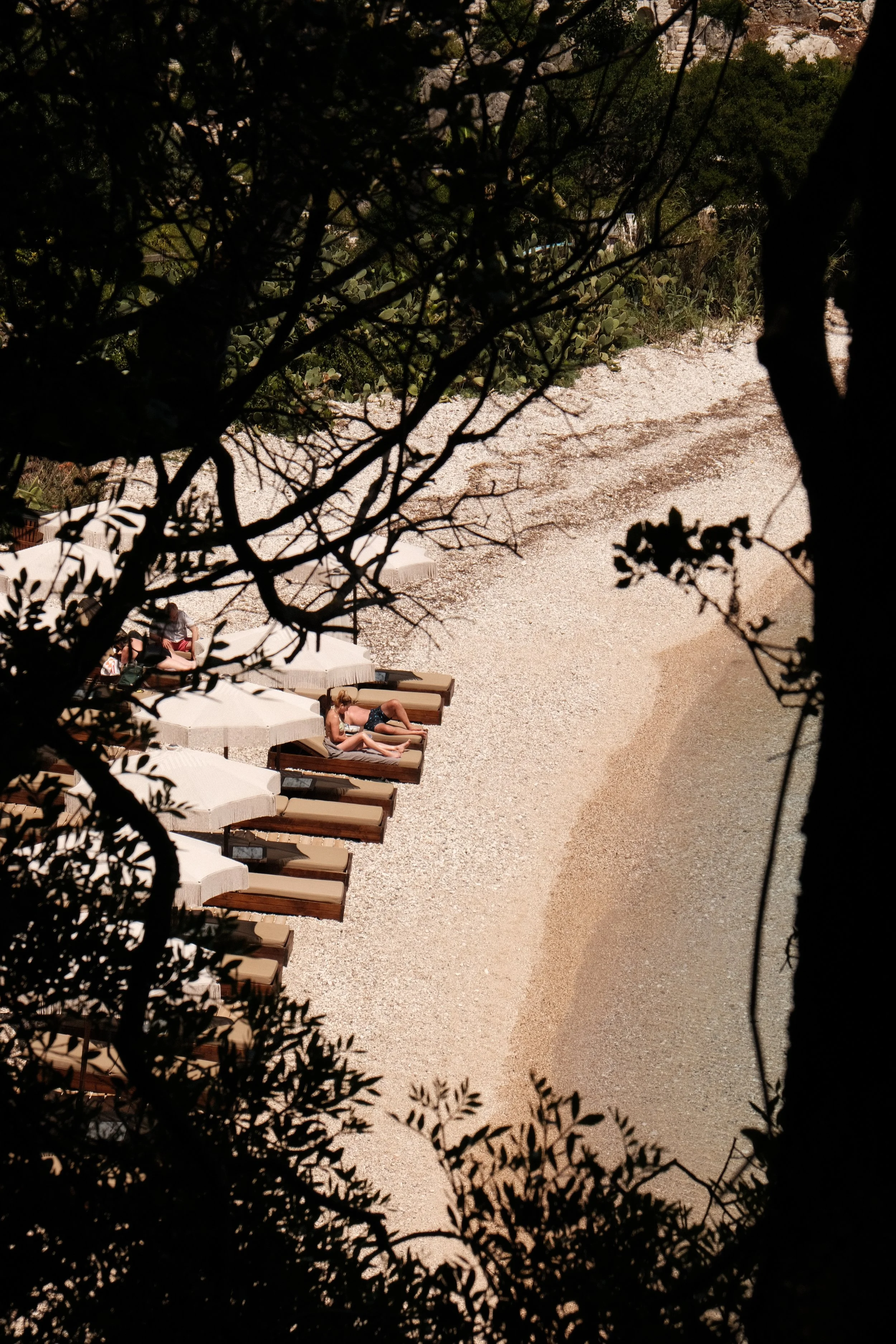 DSCF8193.JPG