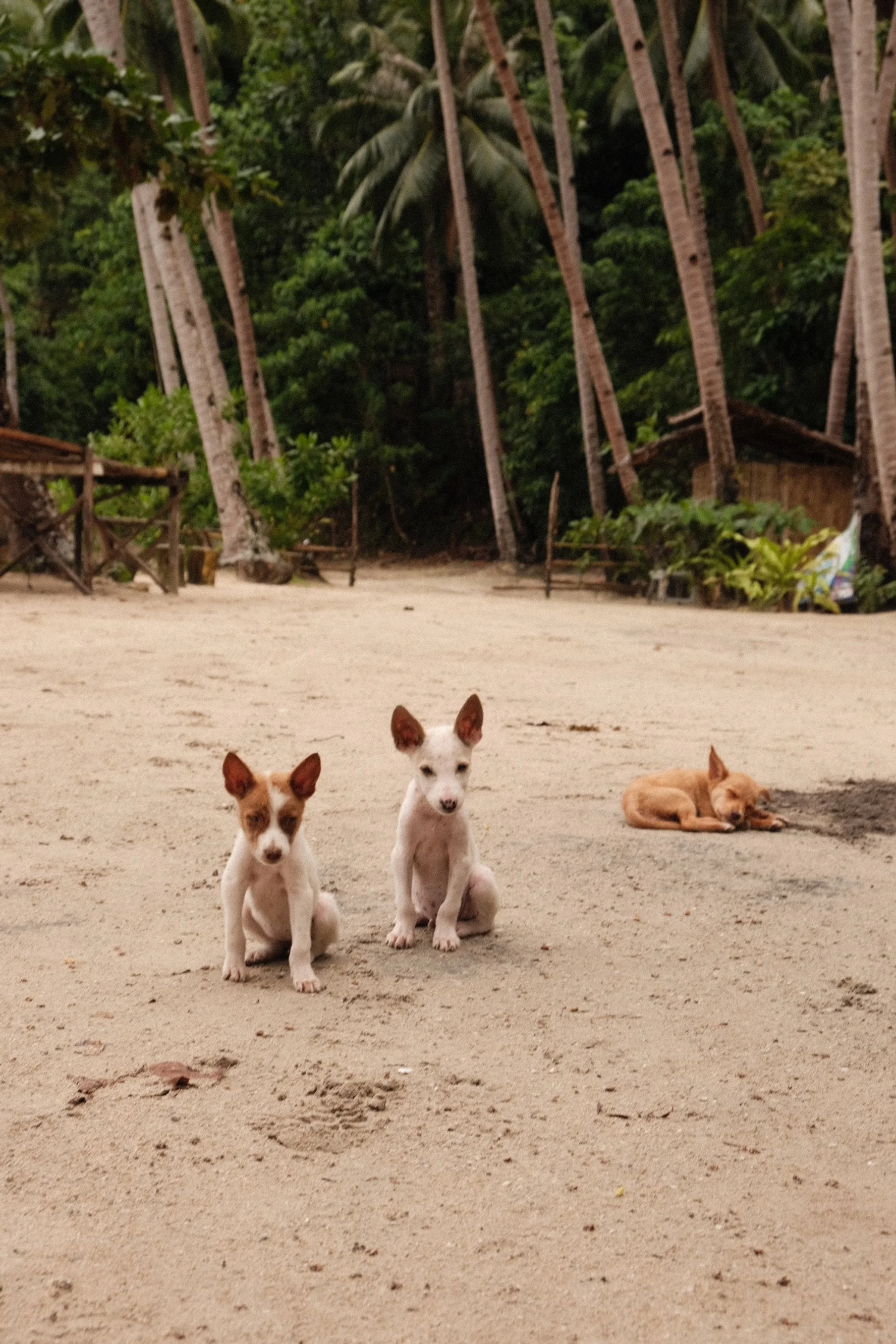 Photo 07-10-2025, 02 29 03.jpg