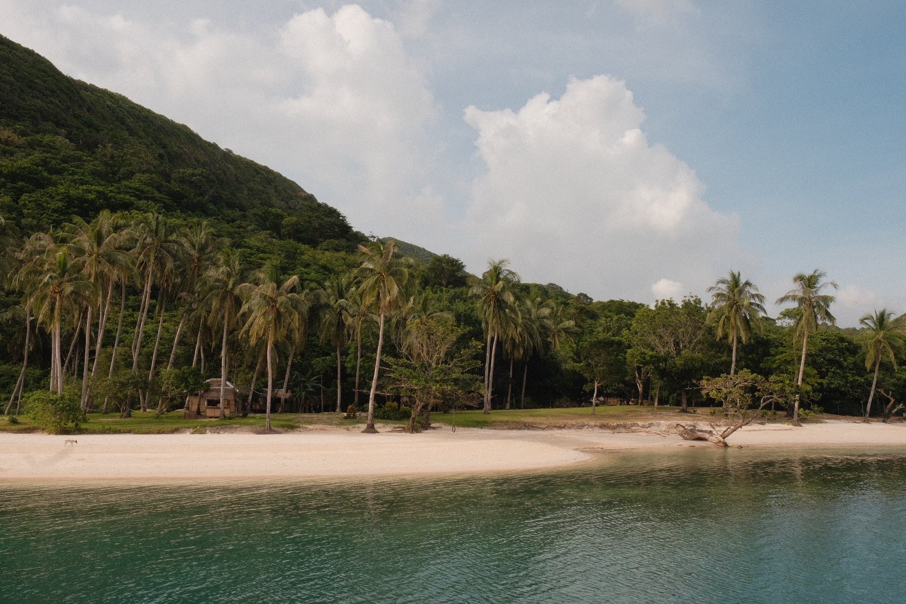 Photo 28-09-2025, 08 03 04.jpg