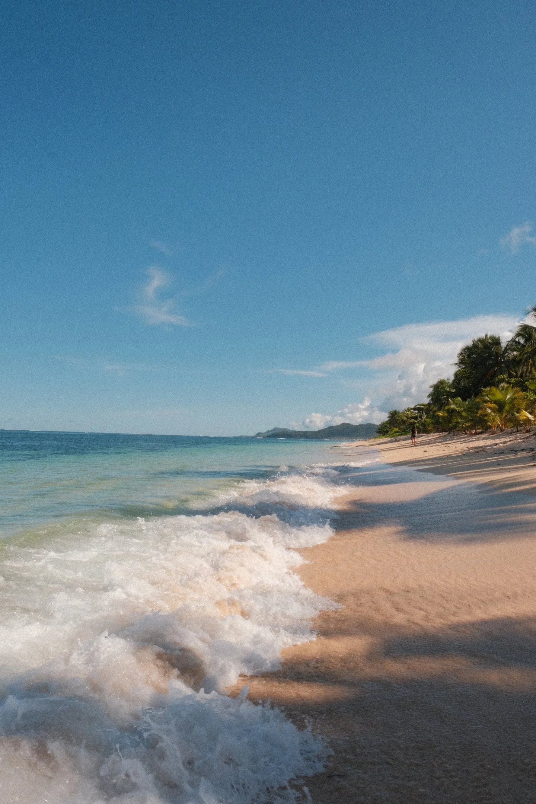 Photo 15-10-2025, 06 41 09.jpg