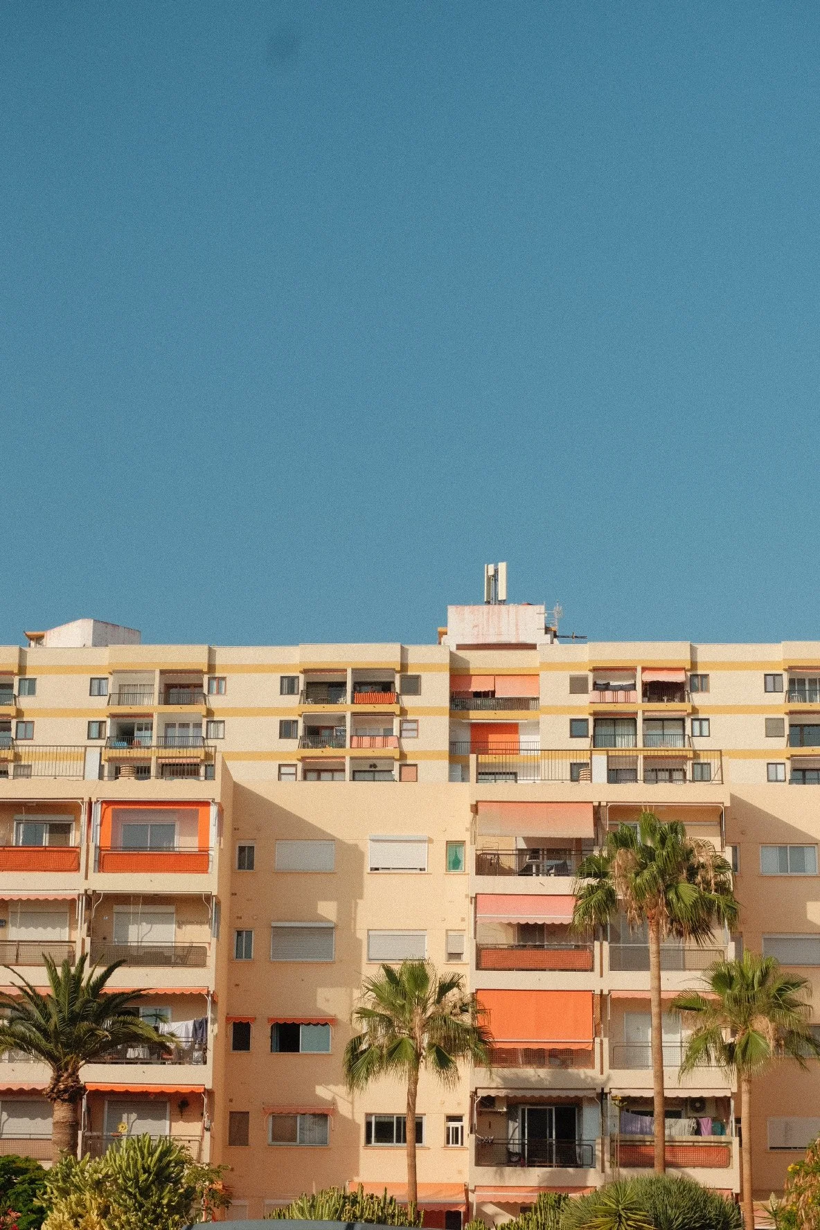 Photo 16-06-2025, 18 19 29.jpg