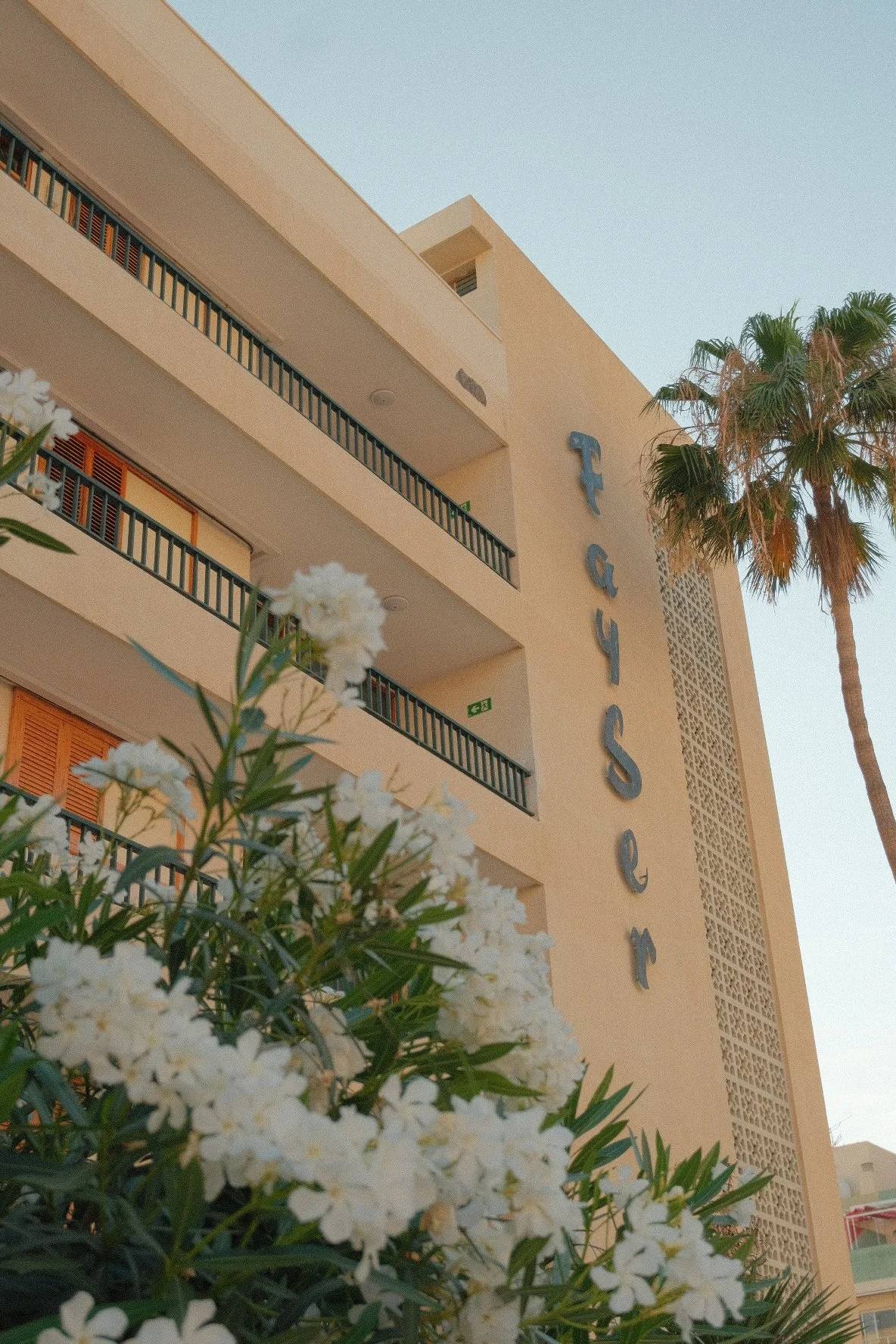 Photo 16-06-2025, 18 20 14.jpg