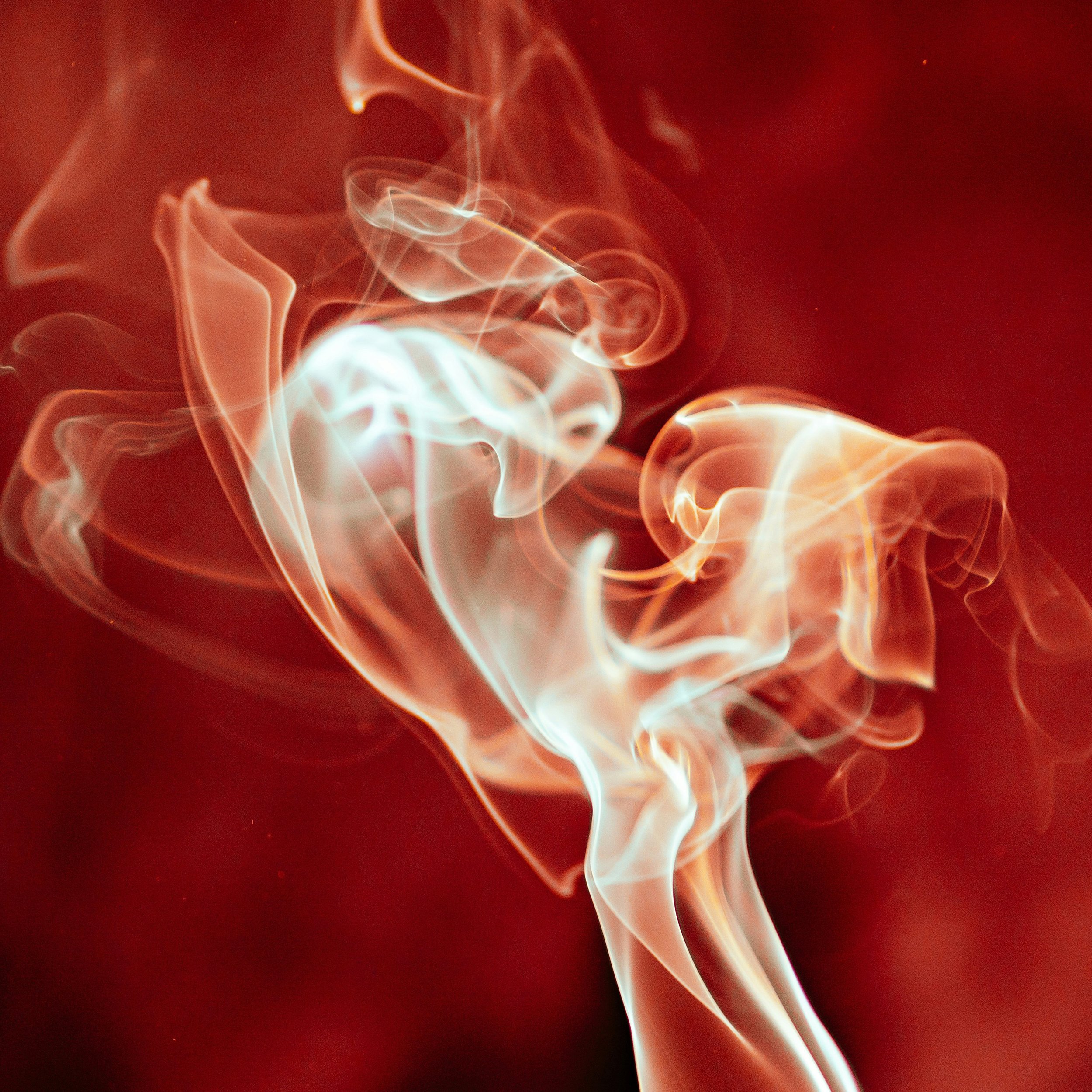 The Bad One Artwork.jpg