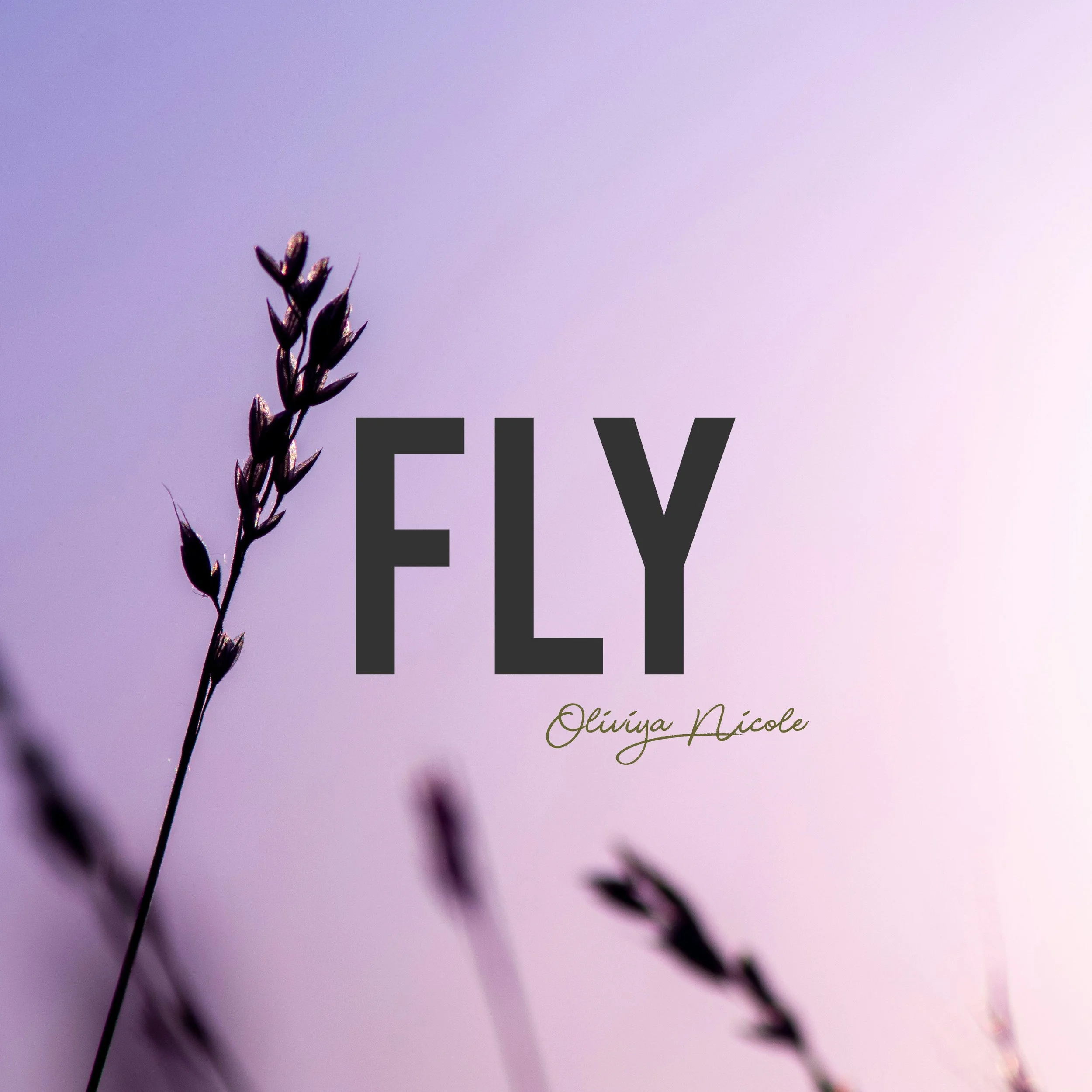 Fly 88 BPM Bb Minor (Dry & Wet Stems)