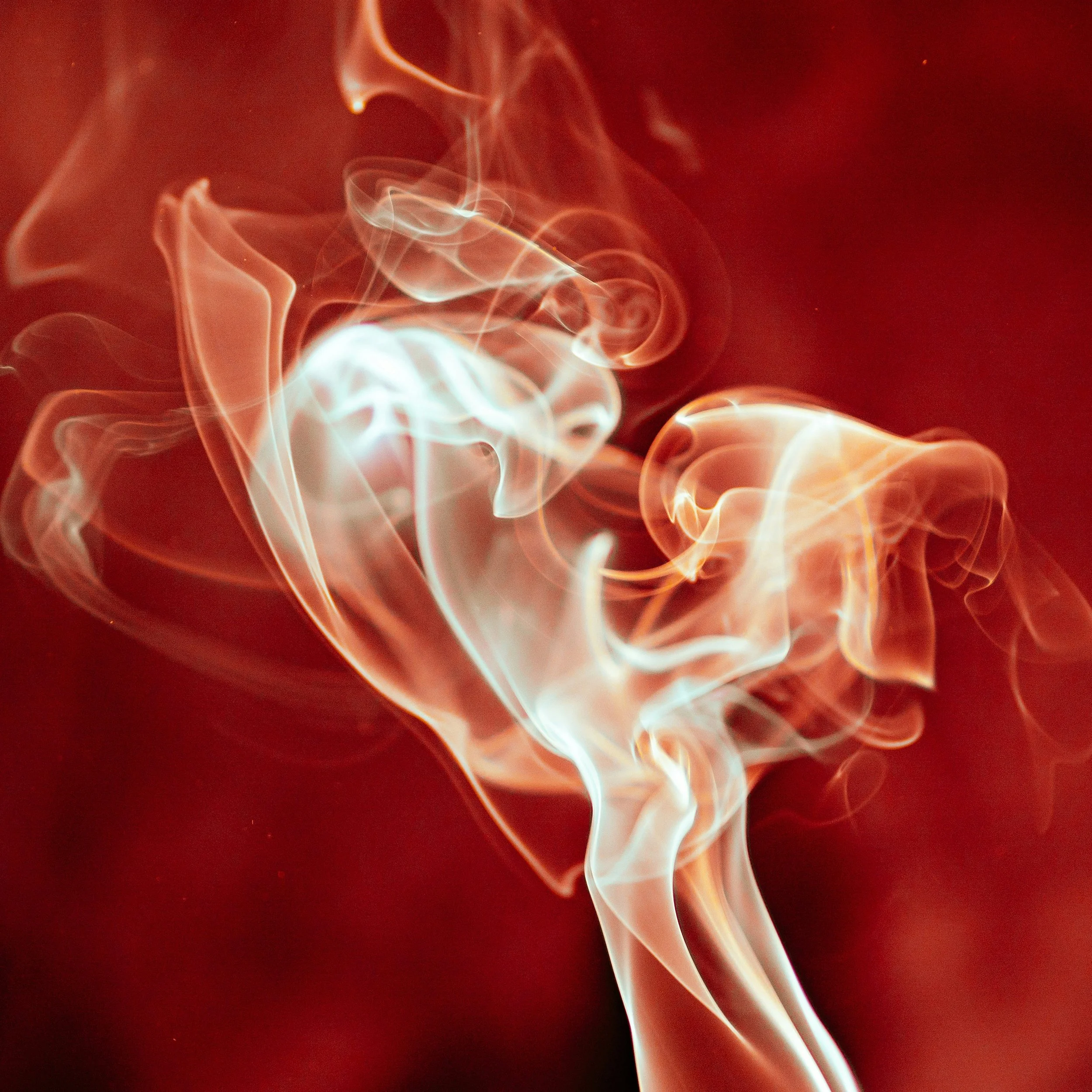 The Bad One 125 BPM C Major (Dry Stems)