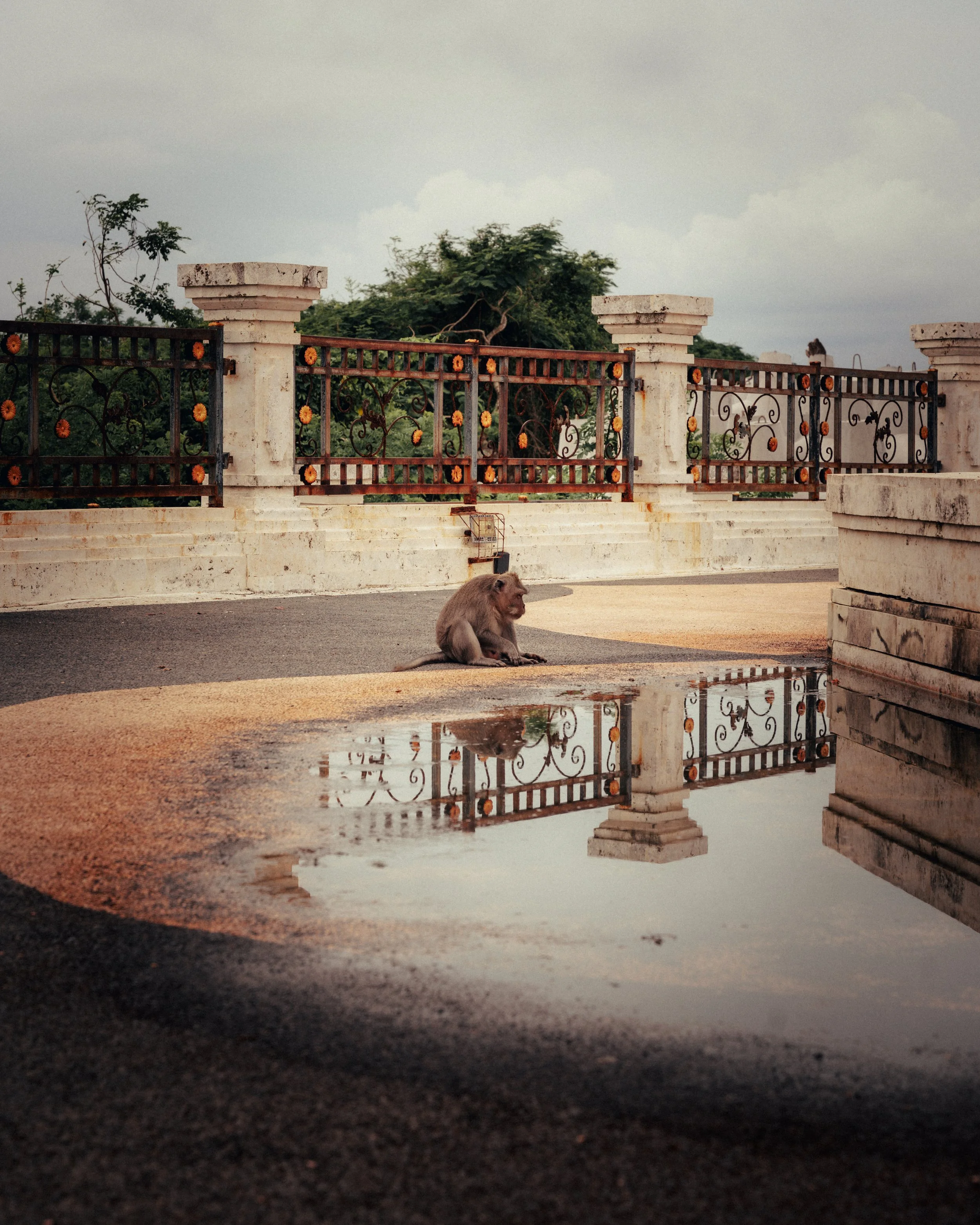 Travel - Bali010.jpg