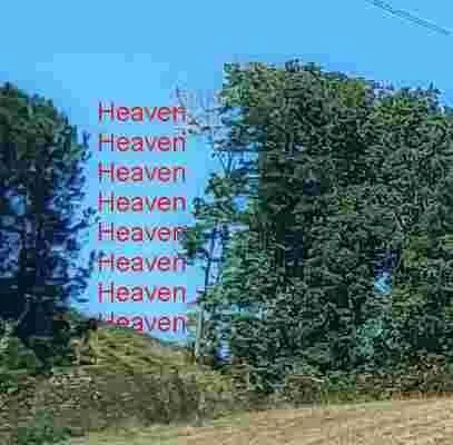 A tree-lined street with tall trees and a utility pole, with the words 'Heaven' repetitively written in pink text on the sky.