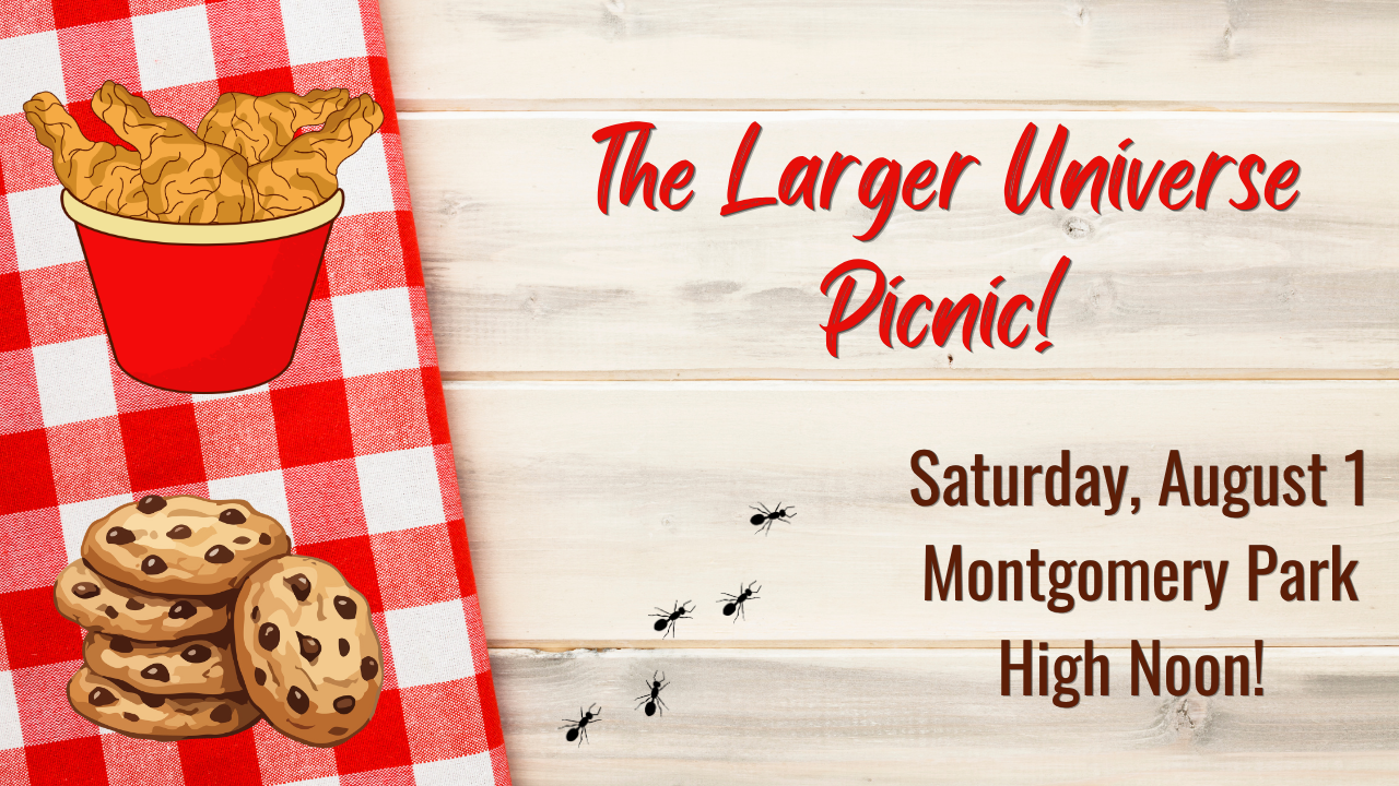 The Larger Universe Summer Picnic
