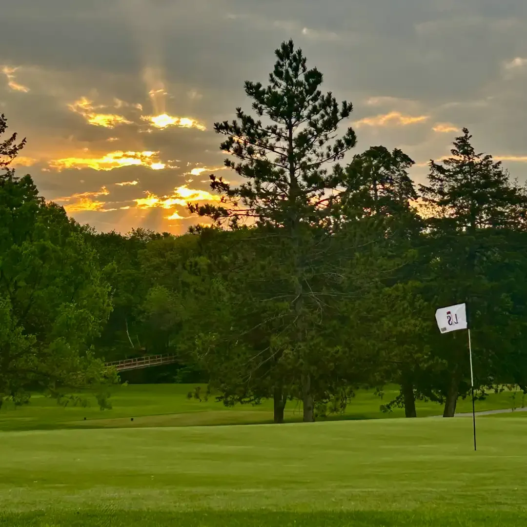 clouds and sunbursts.webp