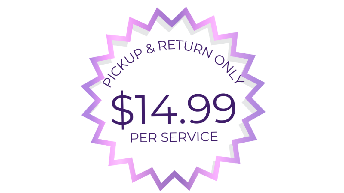 Promotional badge highlighting a $14.99 price for a service. The badge is starburst-shaped with purple, white, and pink colors and stylized text.