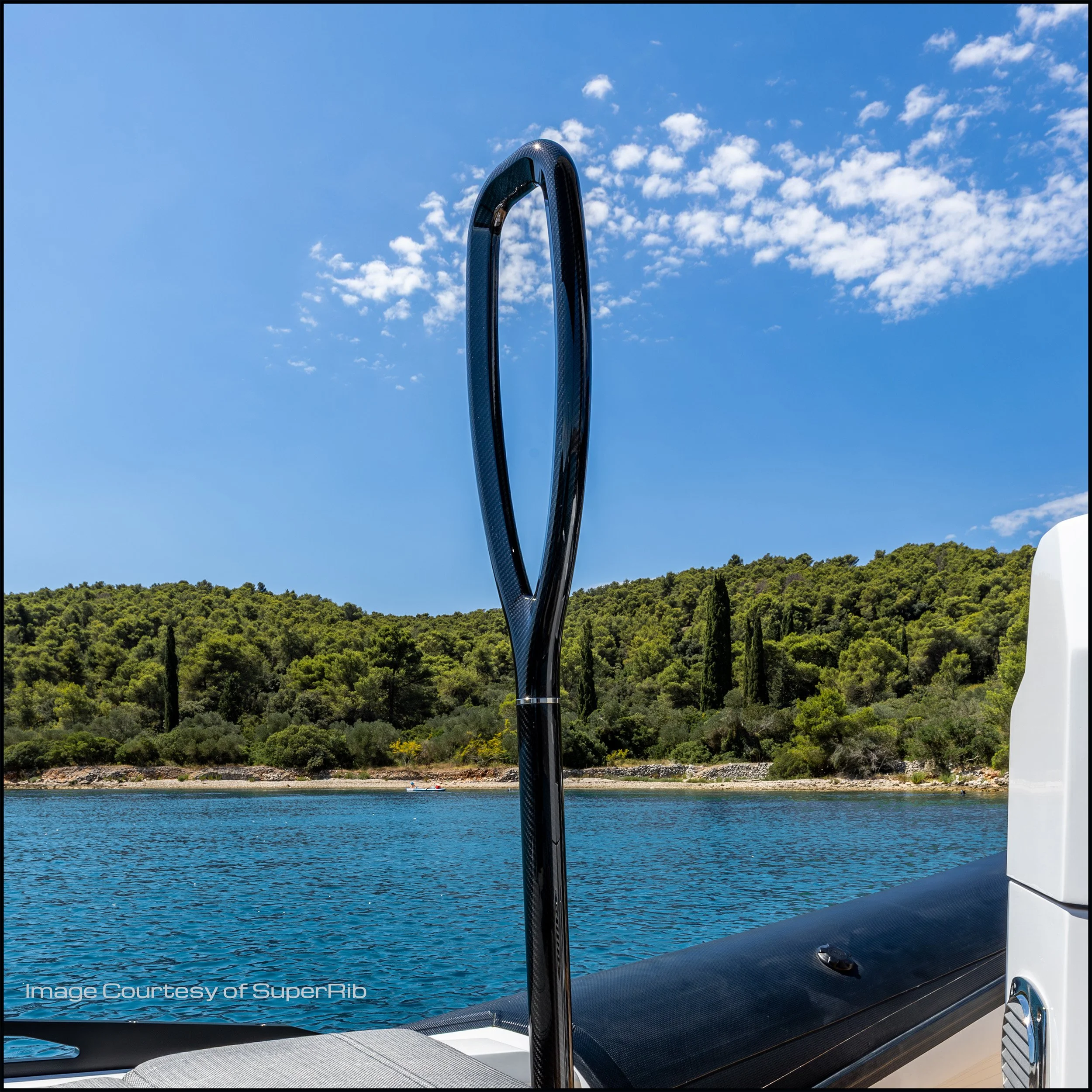 Beck Boarding Pole in gloss carbon fibre