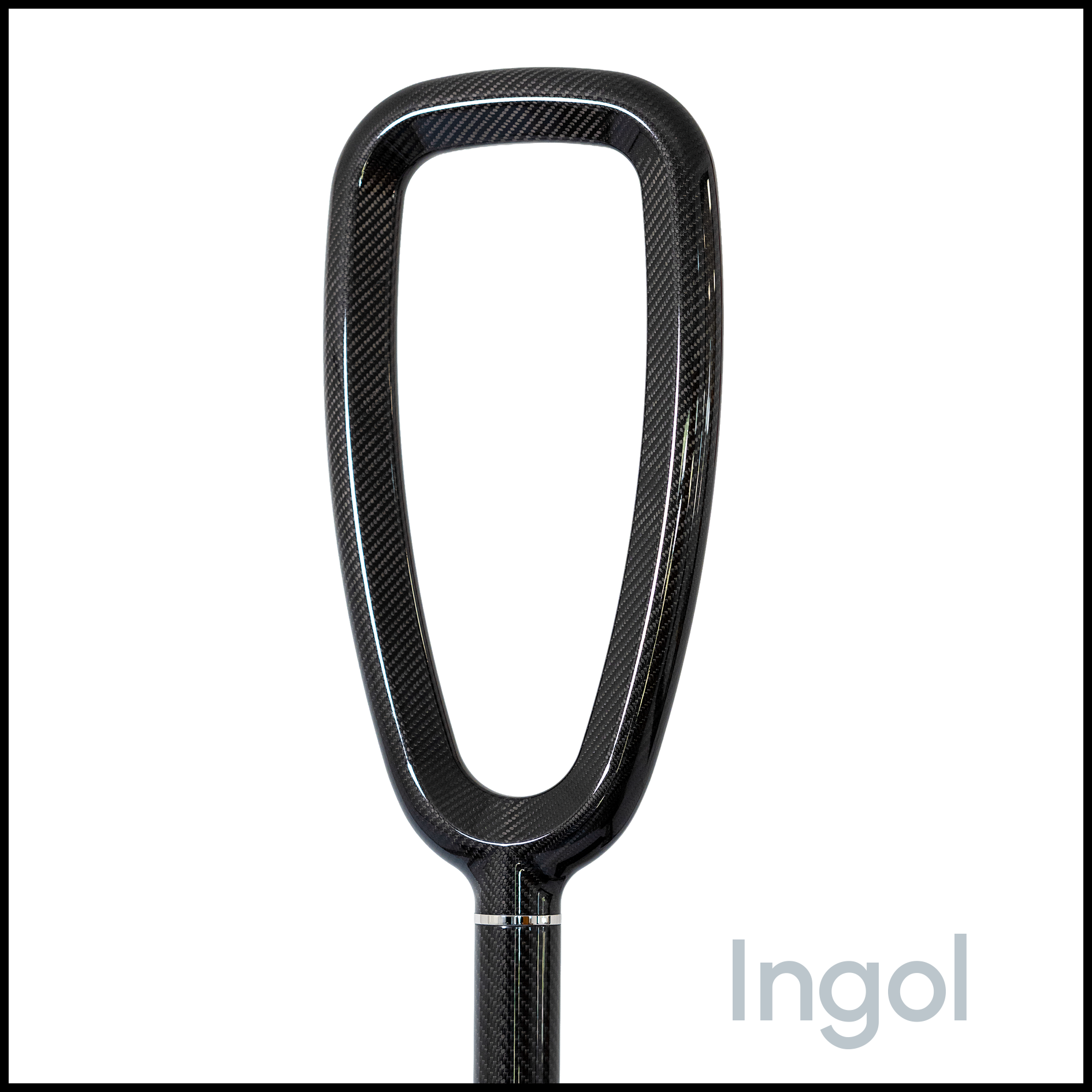 Ingol Boarding Pole