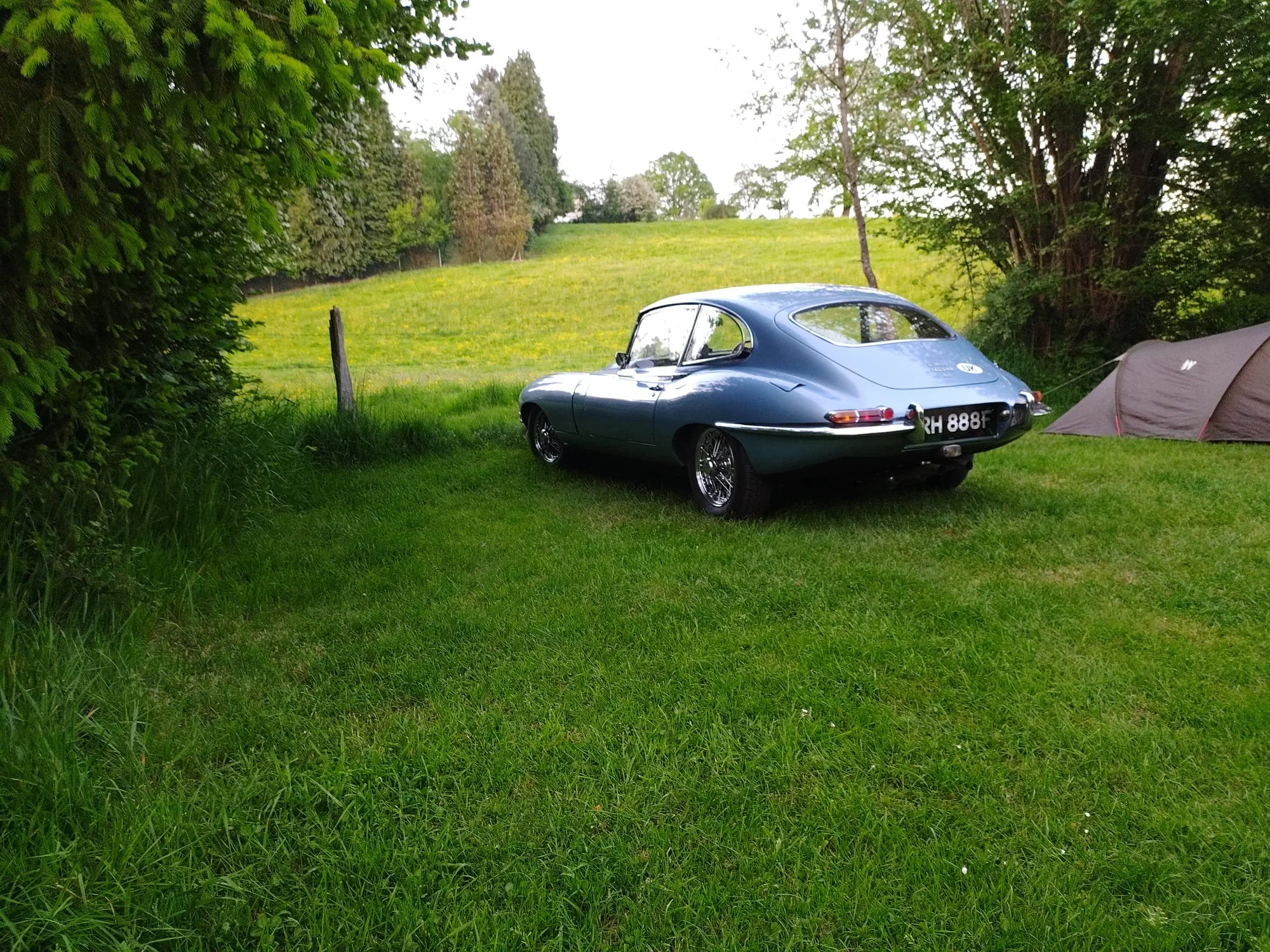 Jaguar E-type