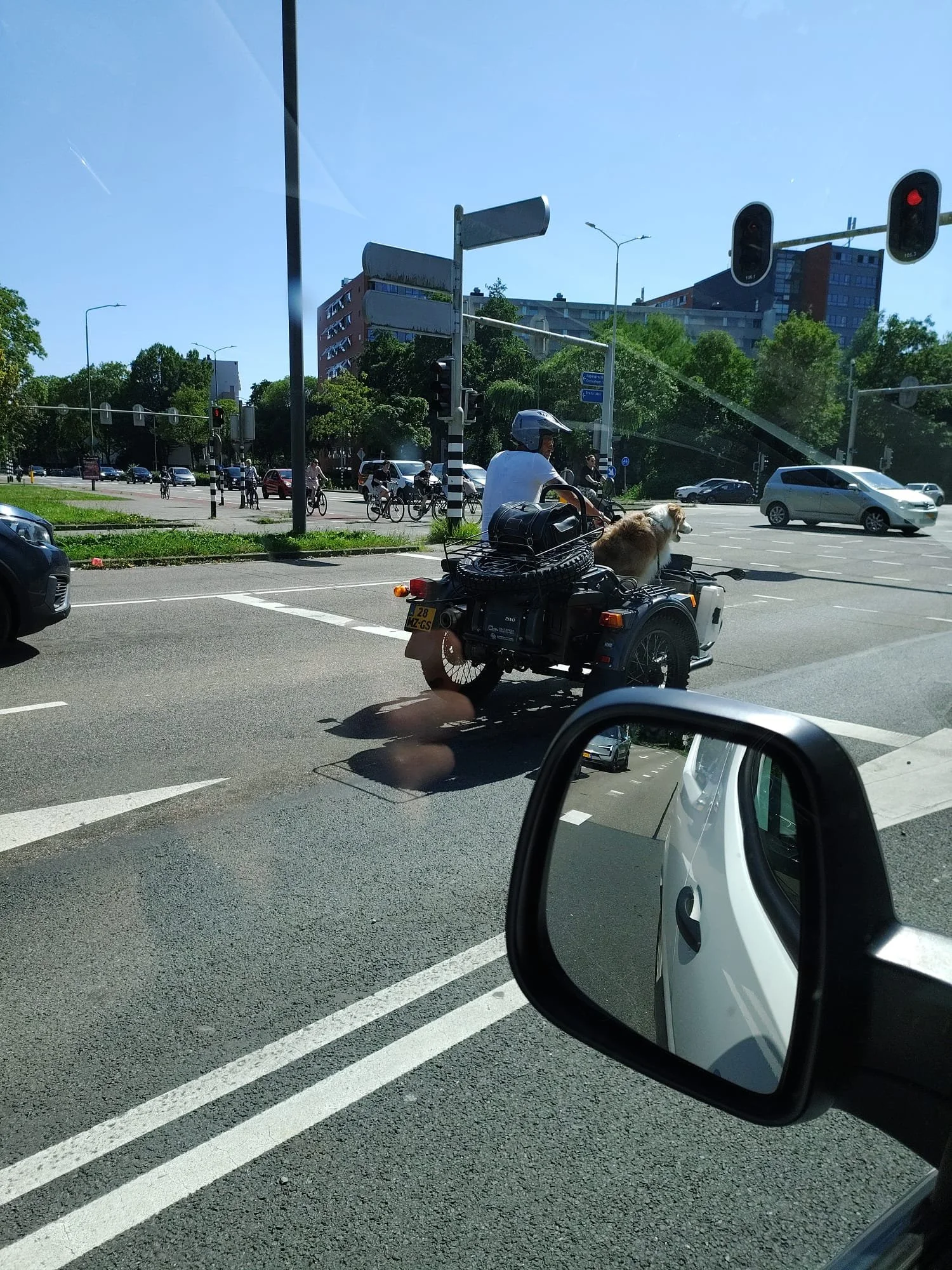 Een Ural zijspanmotor met een hond en het zijspan.