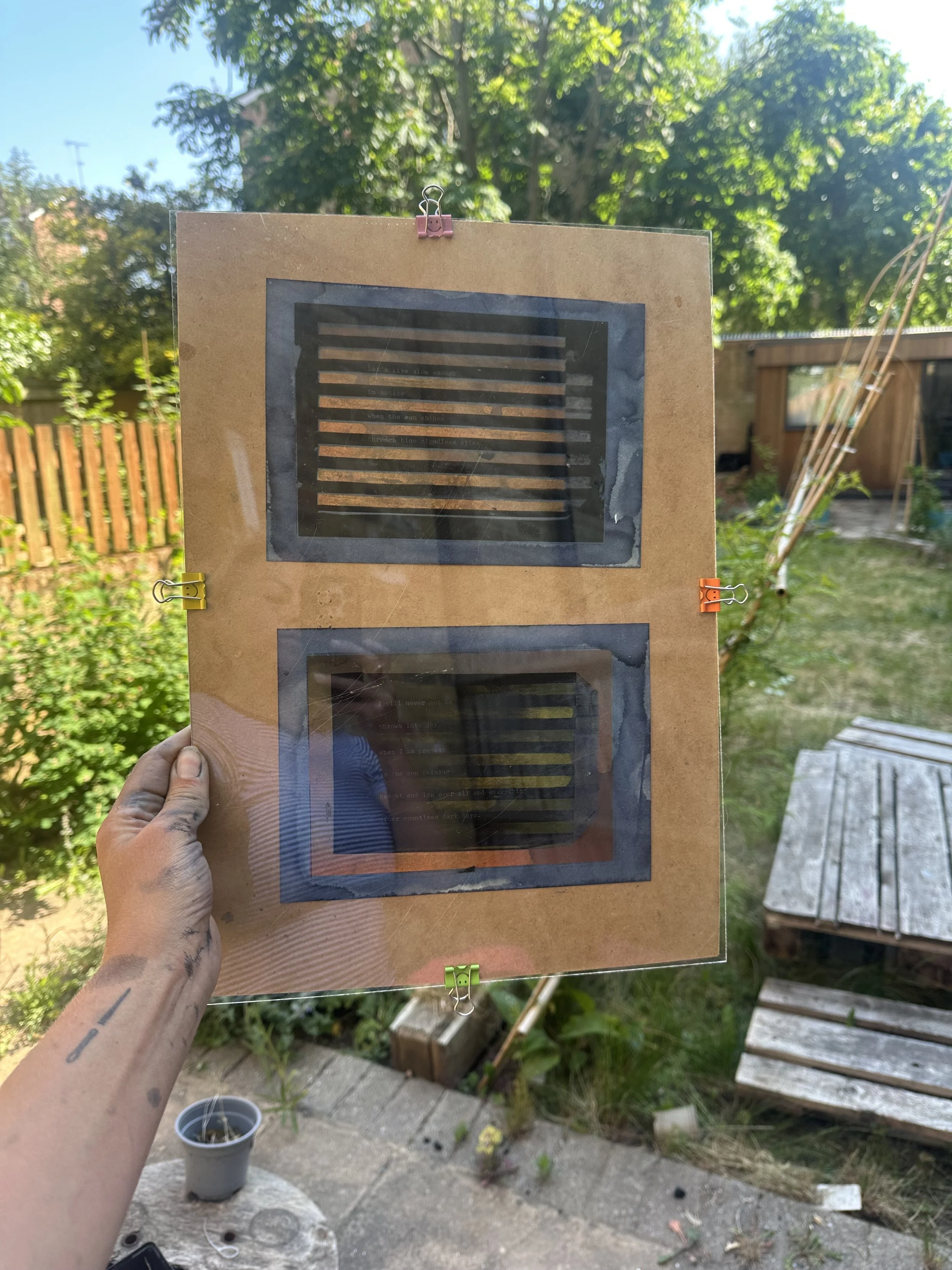 cyanotype printing in the garden