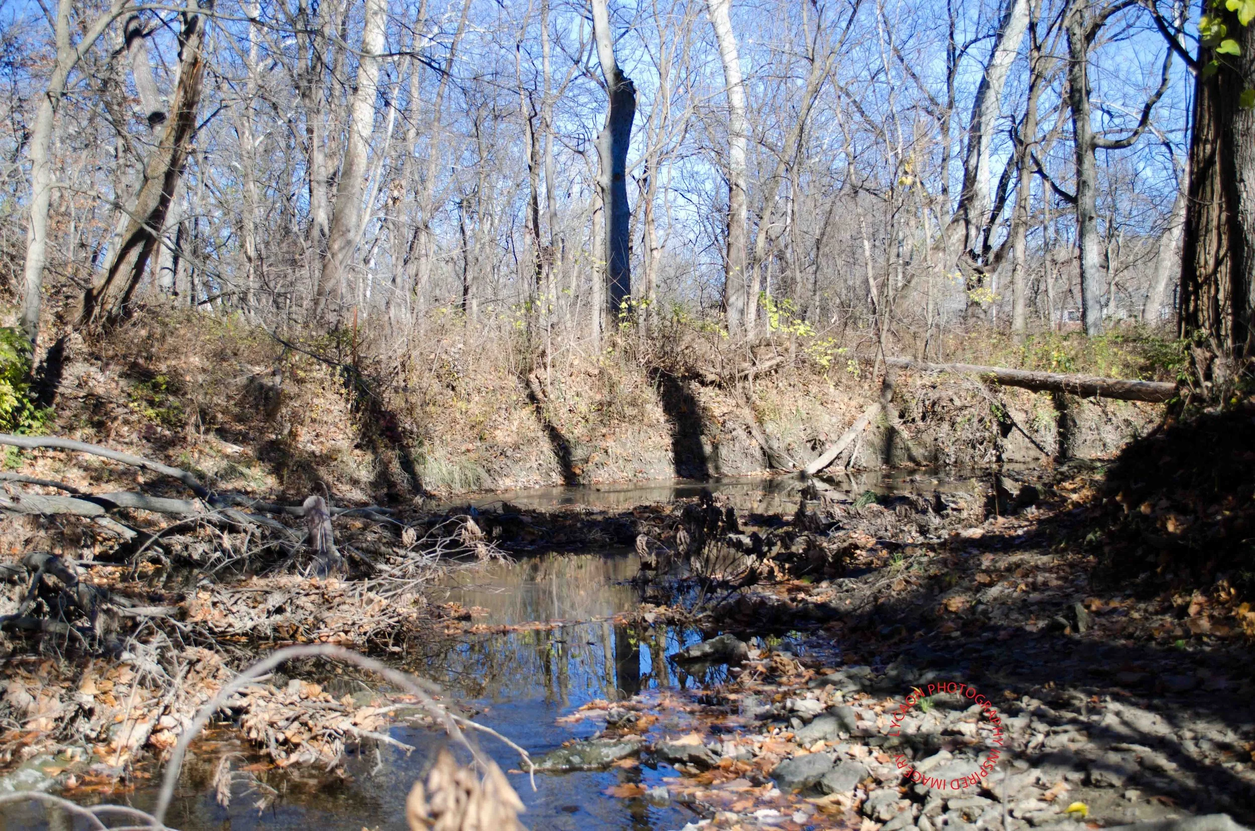 21 River Walk 11-18-13