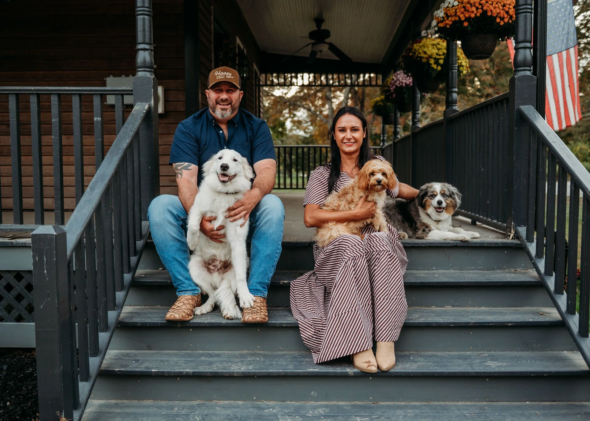 guardian homes cedar creek farm cavapoos house a parent cavapoo puppies for sale